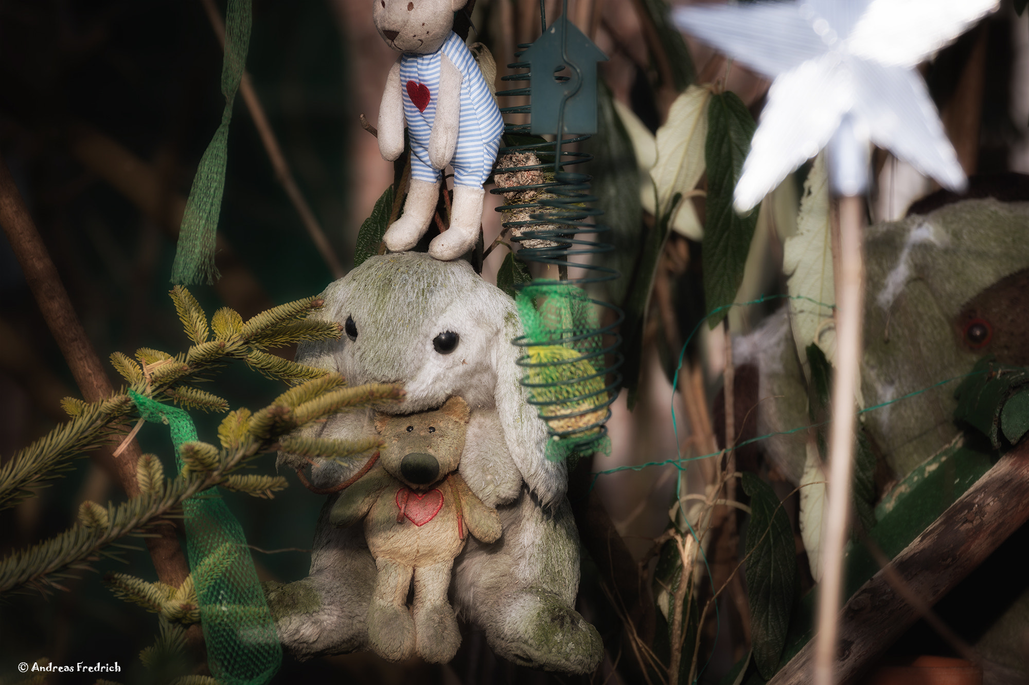 Nikon D7200 sample photo. Lost photography