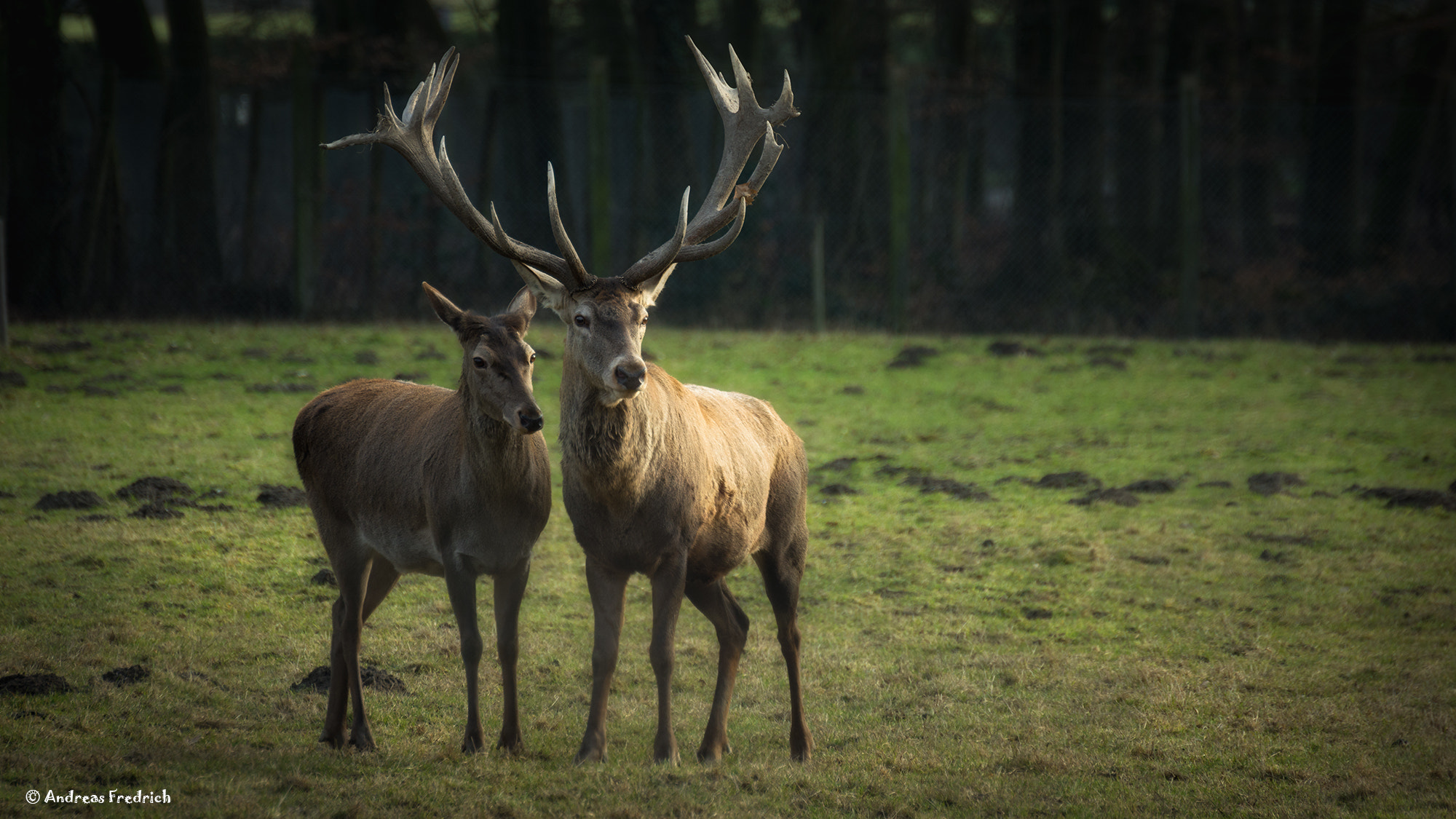 Nikon D7200 sample photo. Love photography