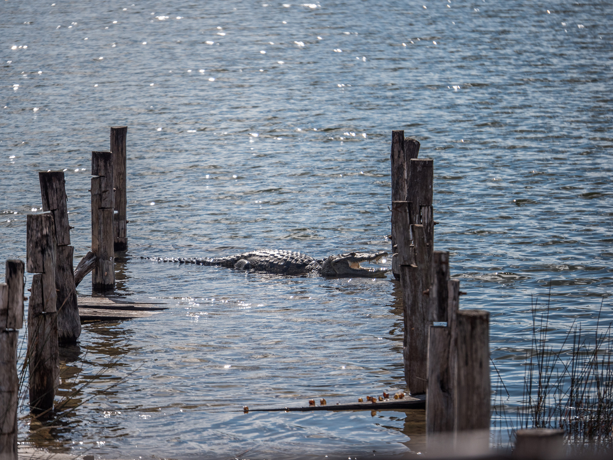 Panasonic Lumix G X Vario 35-100mm F2.8 OIS sample photo. Mexico photography