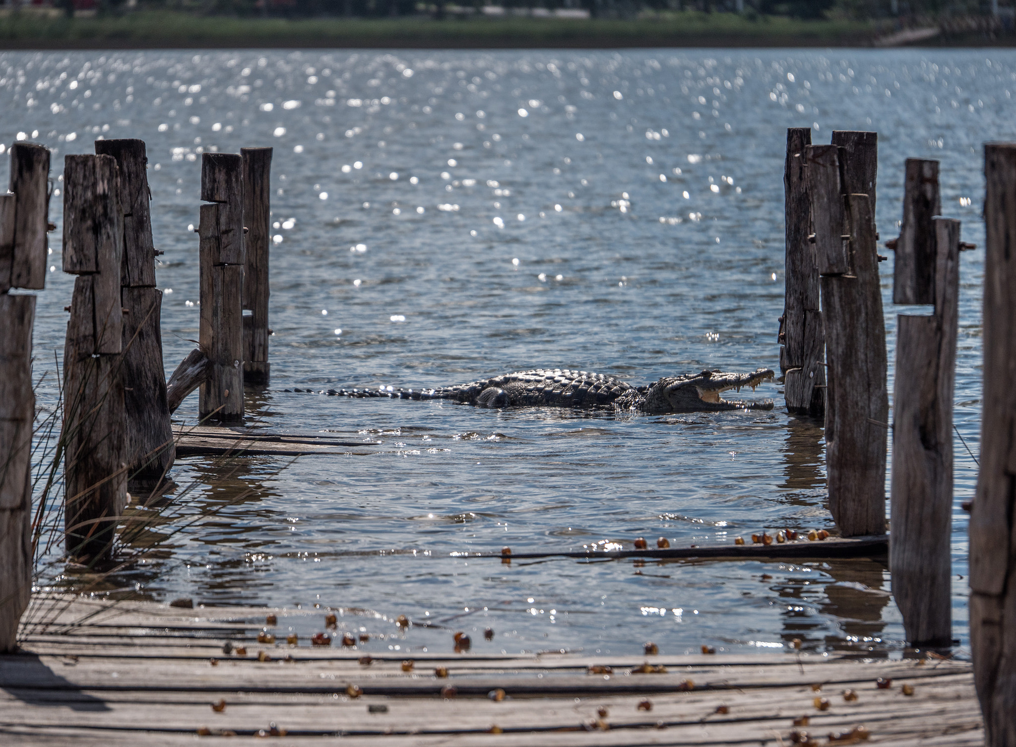 Panasonic Lumix DMC-GX8 + Panasonic Lumix G X Vario 35-100mm F2.8 OIS sample photo. Mexico photography