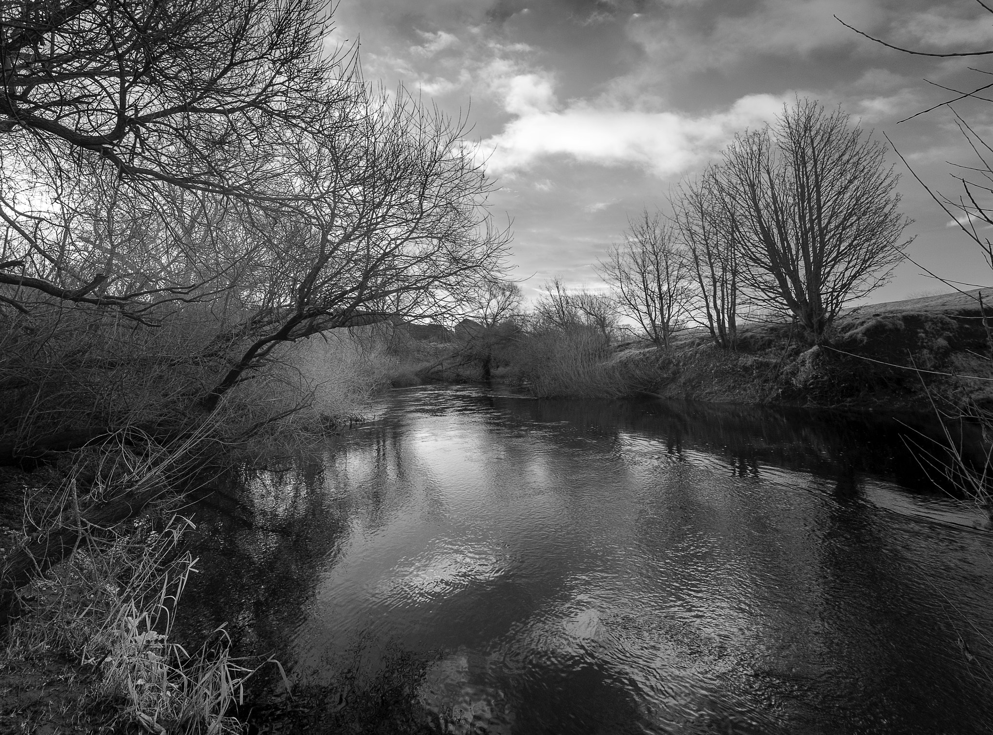 Nikon D90 sample photo. Helperby river swale photography