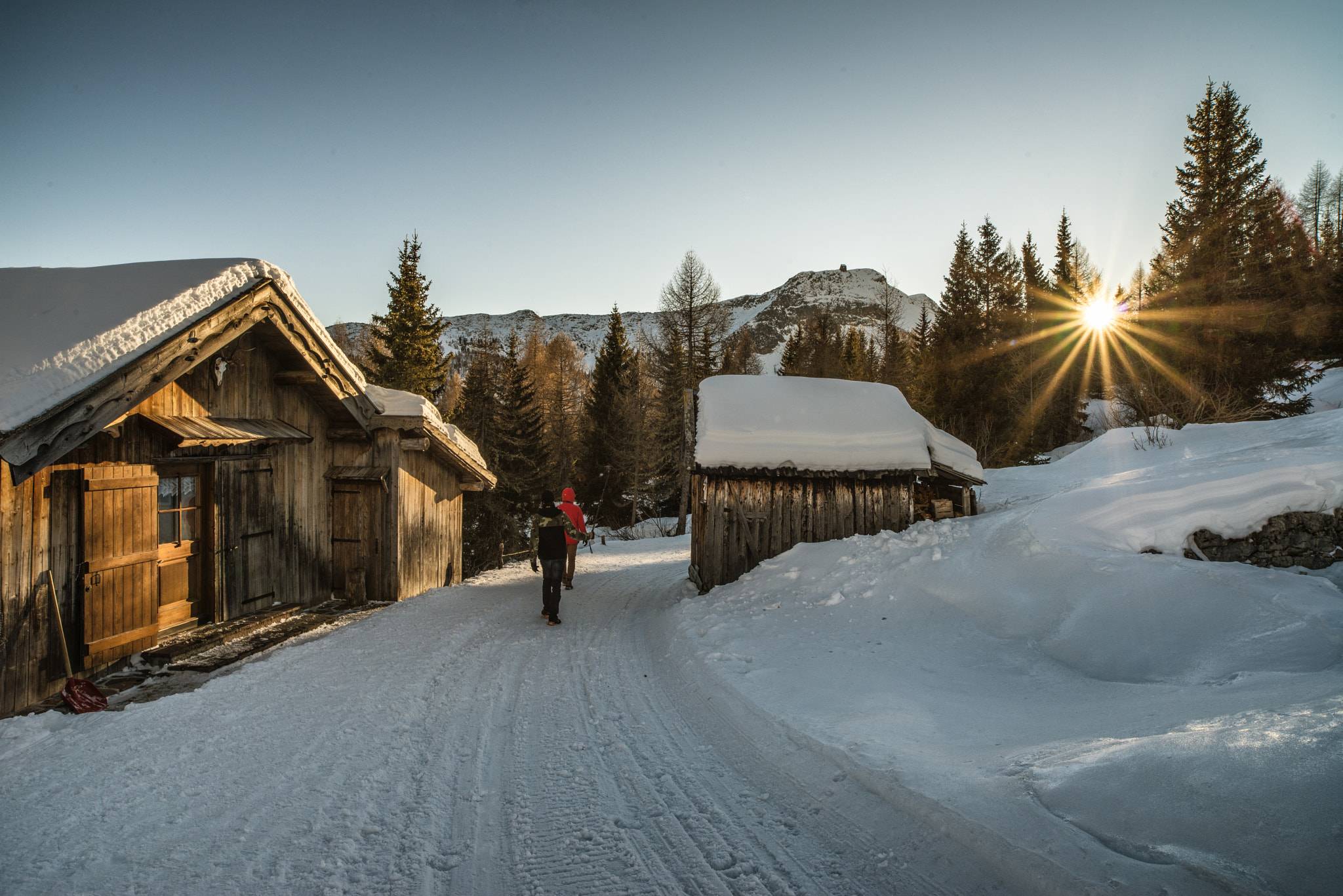 Nikon D800E sample photo. Winter path. photography