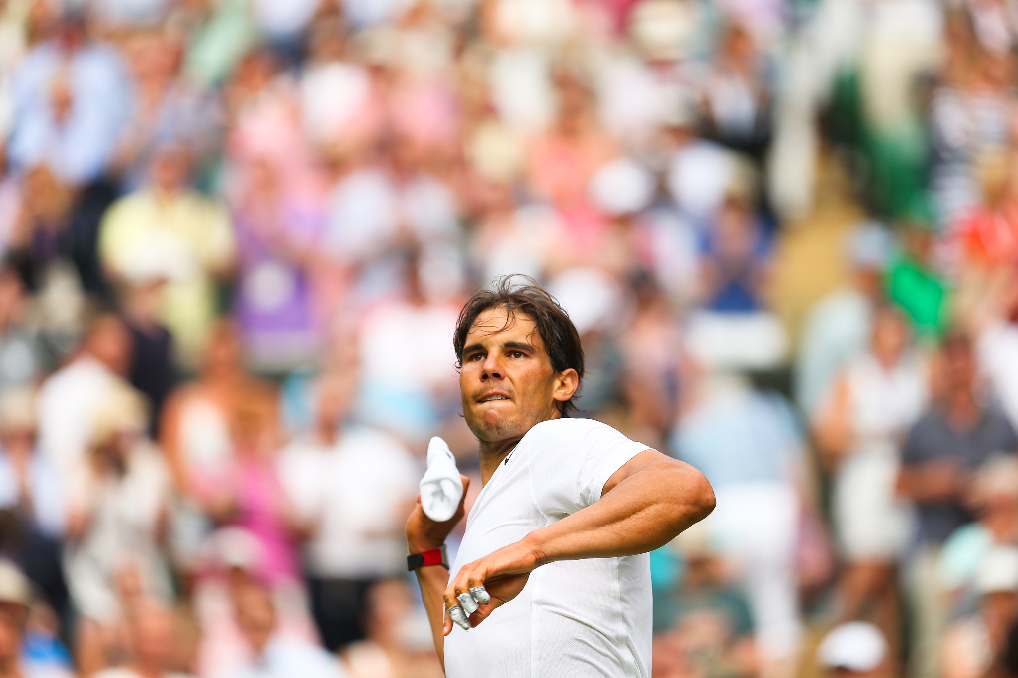 Canon EF 300mm F2.8L IS II USM sample photo. Rafa i photography