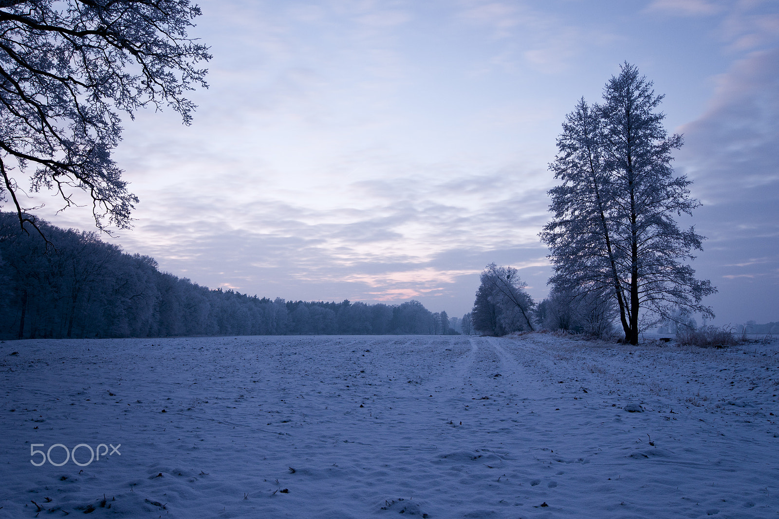 Pentax K-5 IIs + Sigma AF 10-20mm F4-5.6 EX DC sample photo. Winter fields photography