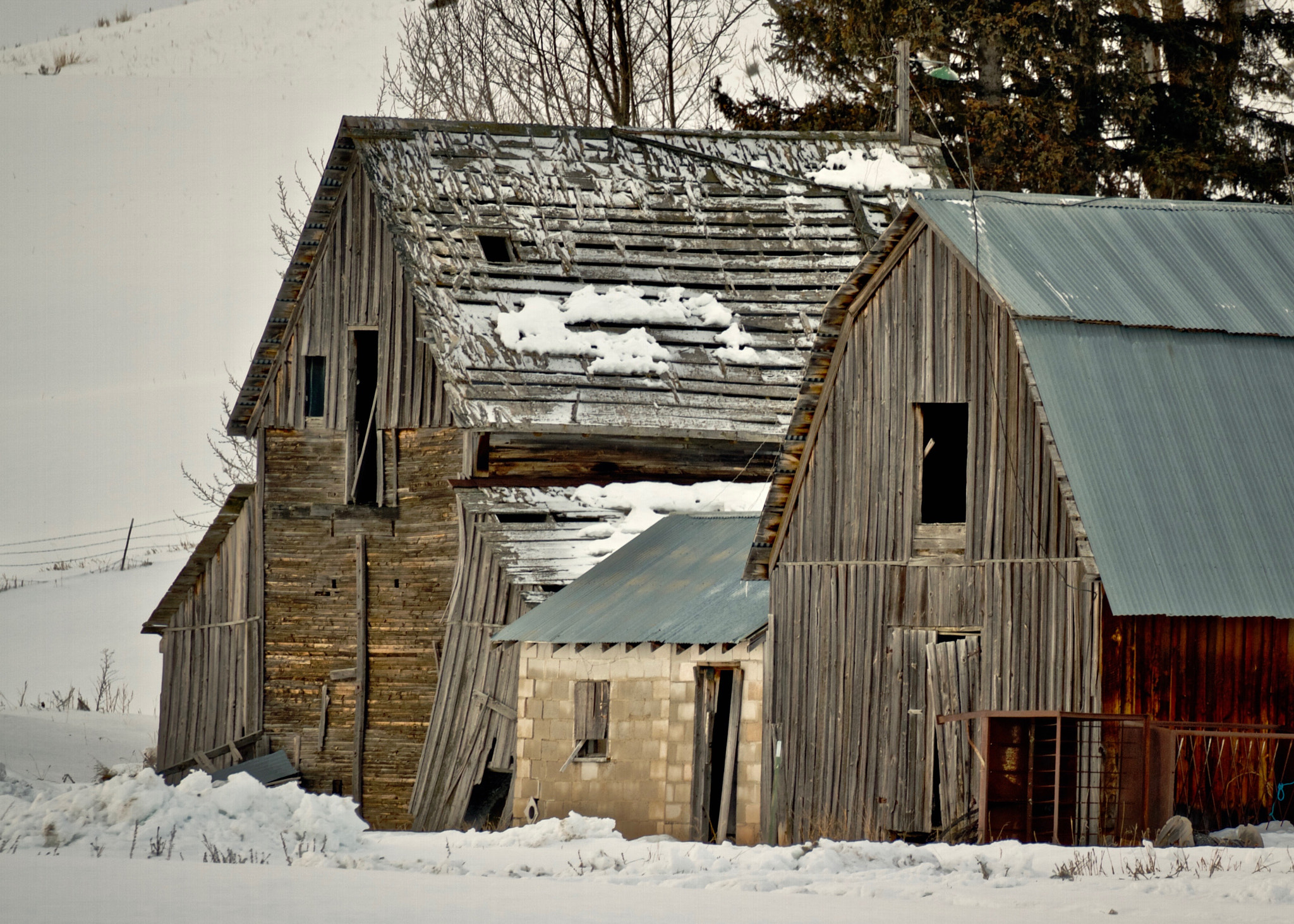 Canon EOS 7D sample photo. "old barns" photography