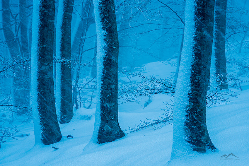 Tamron SP 70-200mm F2.8 Di VC USD sample photo. Snowfall photography