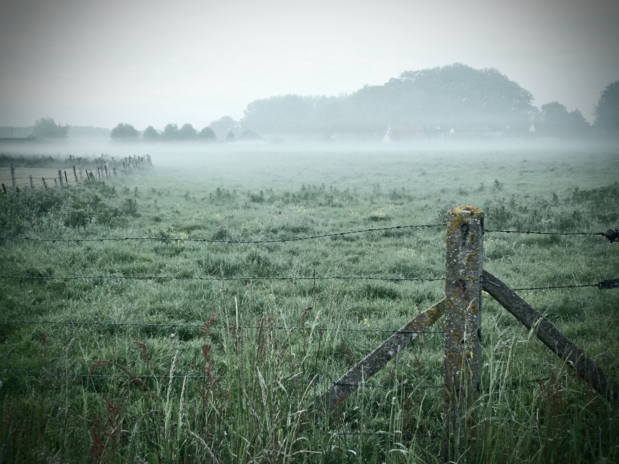 OnePlus ONE E1003 sample photo. Small country mist photography