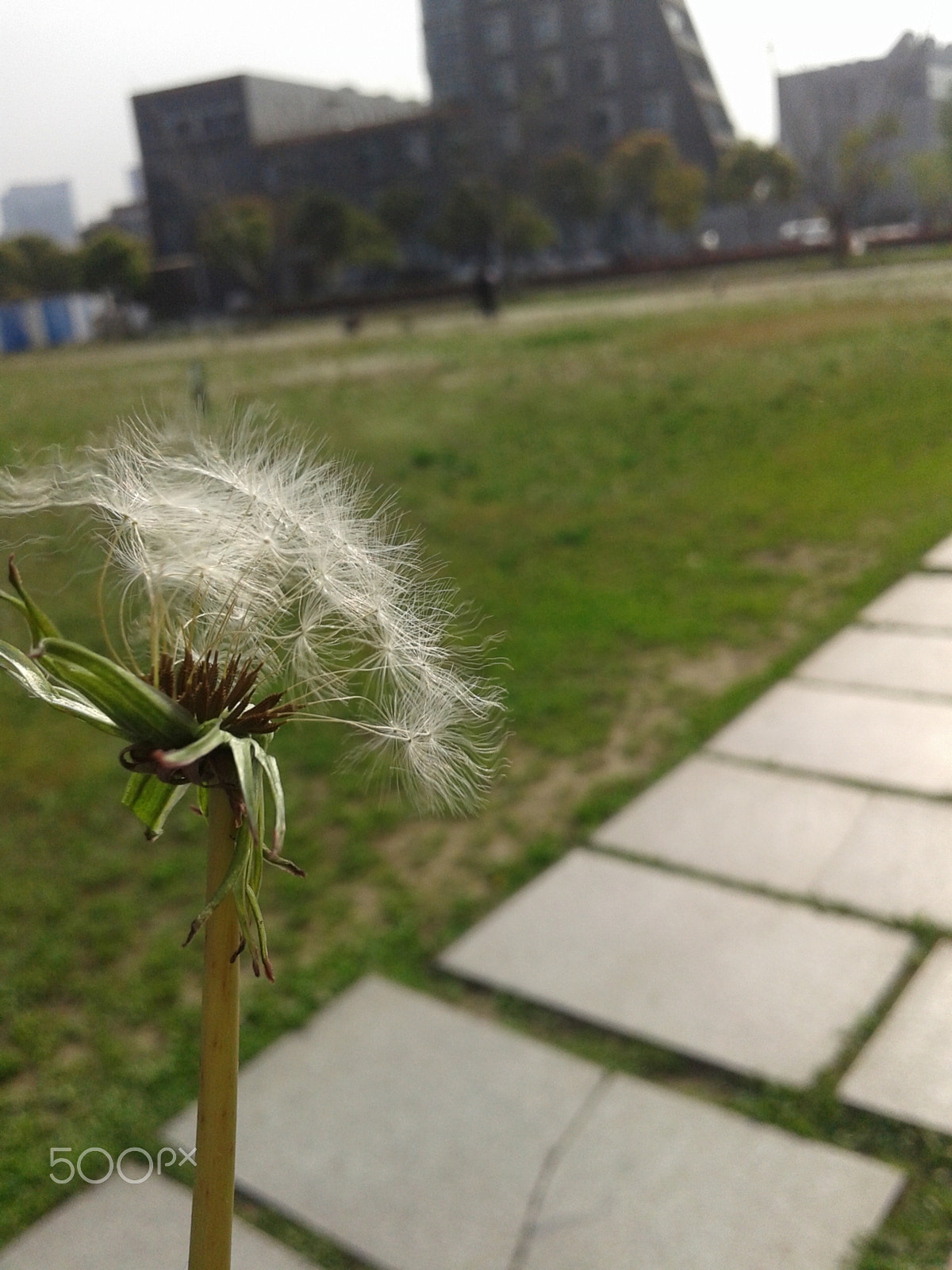 Samsung Galaxy Core sample photo. Ky0001 photography