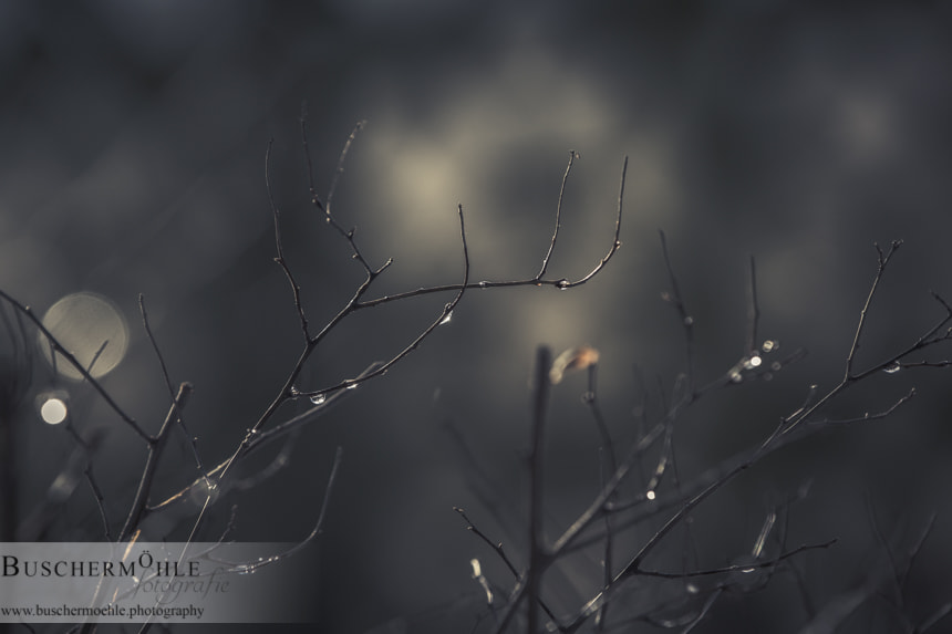 Canon EF 70-200mm F2.8L IS II USM sample photo. Darkness falls photography