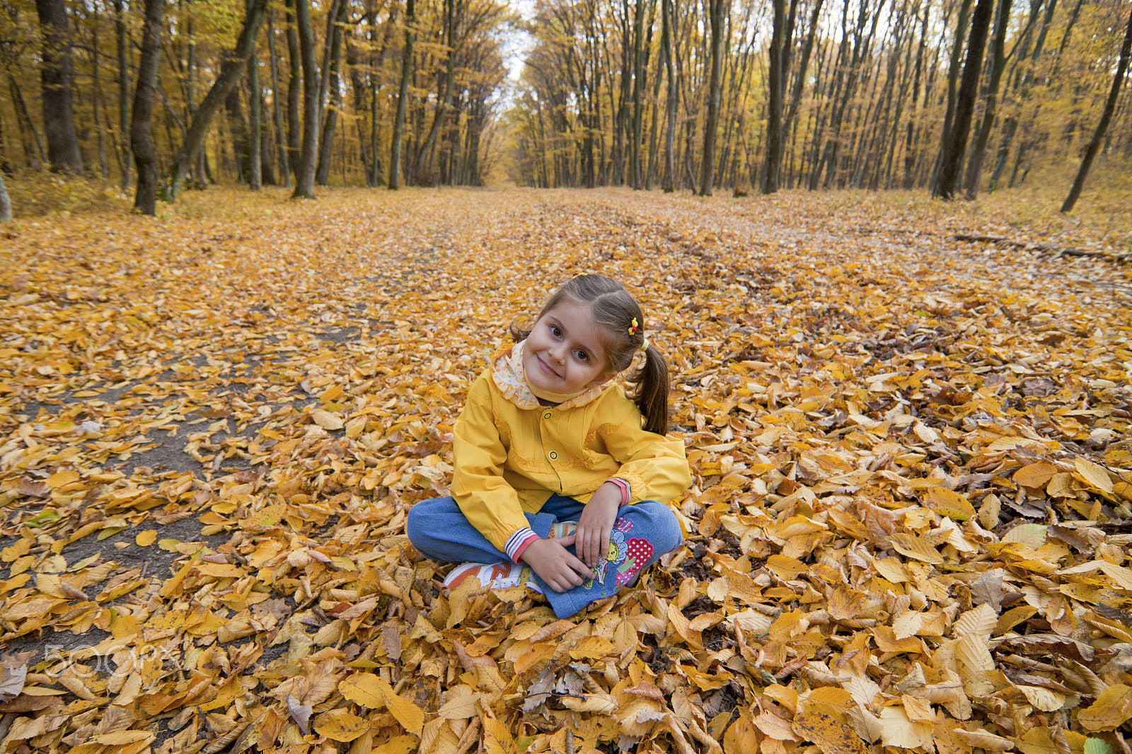 Tokina AT-X Pro 12-24mm F4 (IF) DX sample photo. Smile in the forest photography
