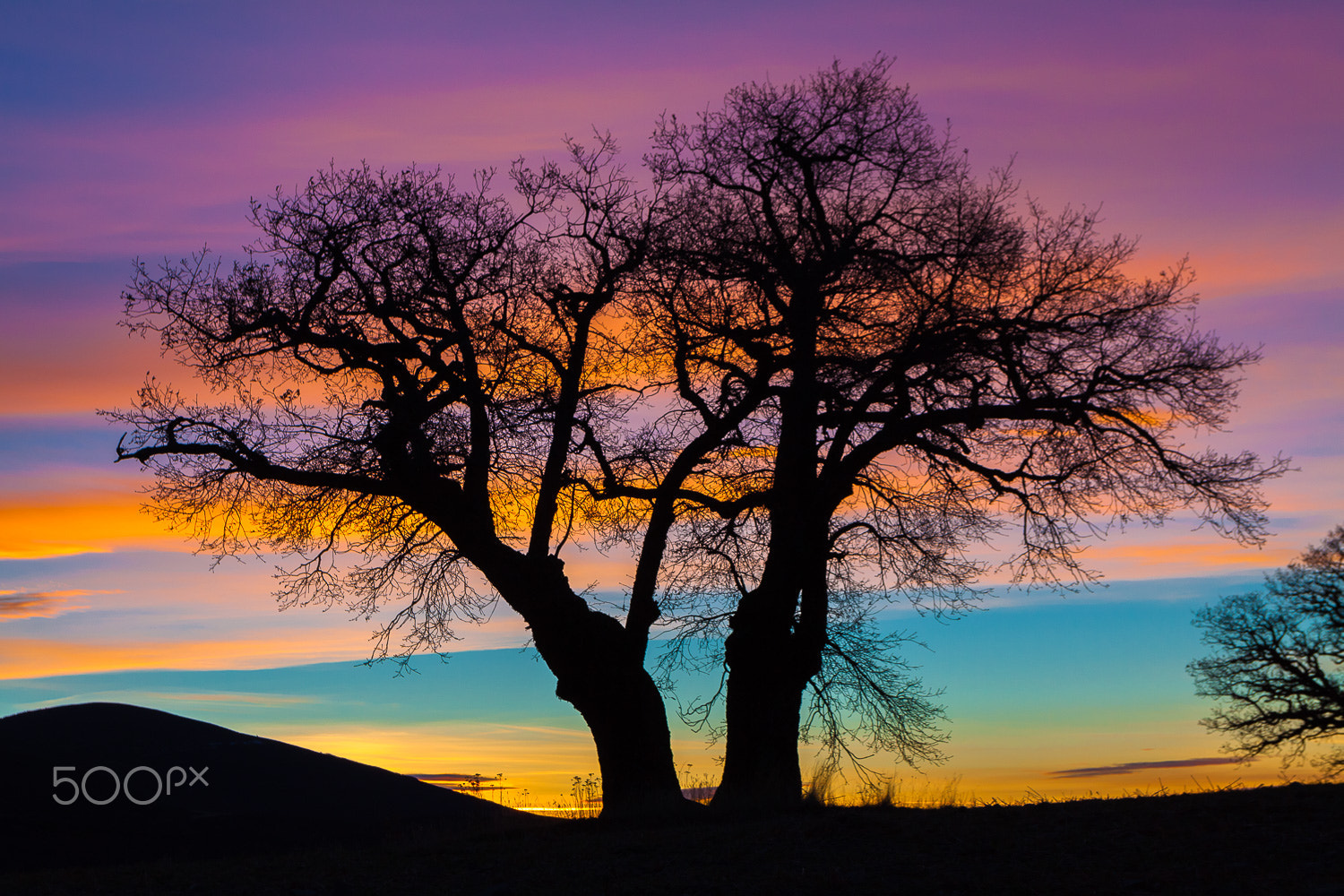 Canon EOS 50D + Canon EF 17-40mm F4L USM sample photo. Trazos photography