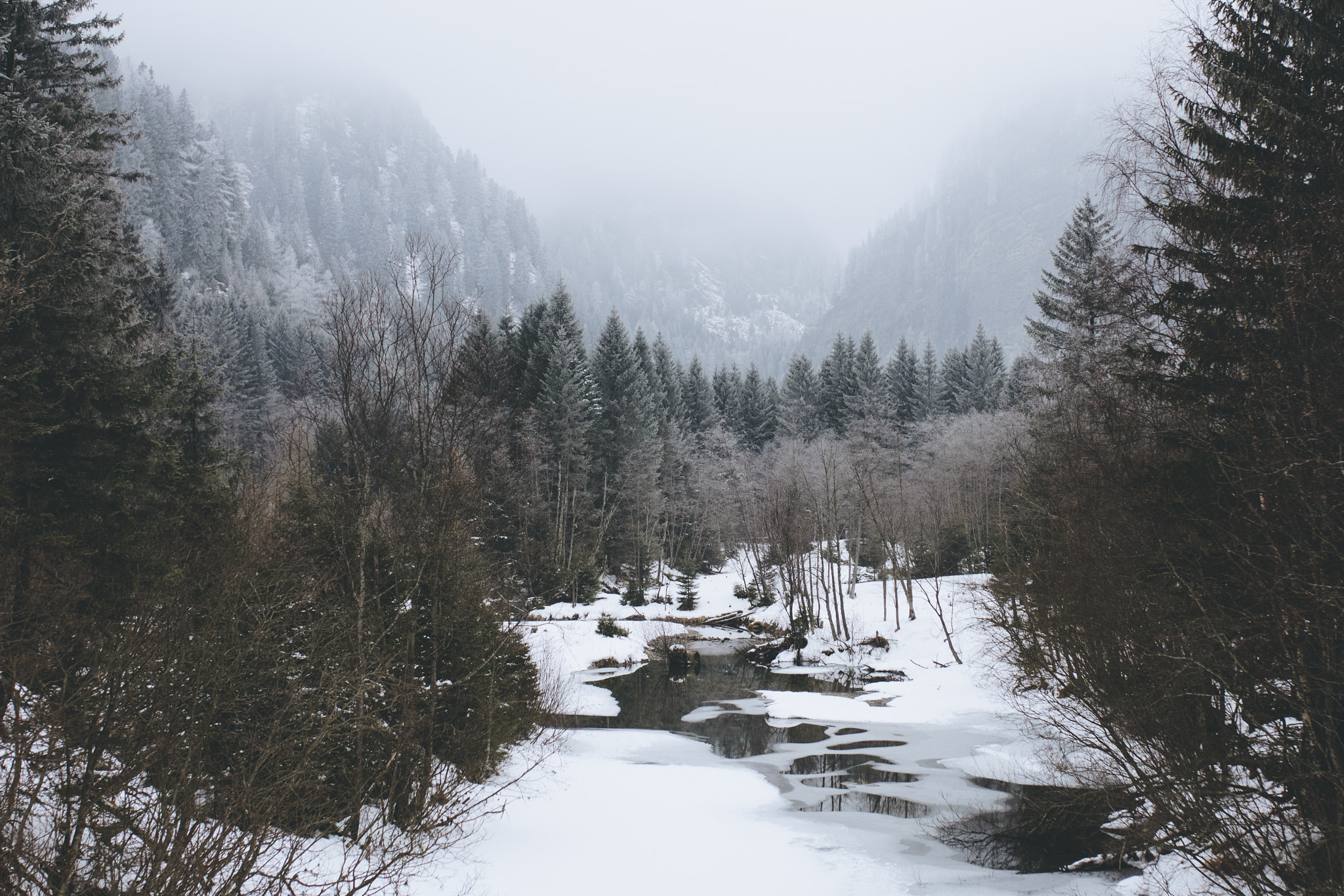 Nikon D7100 + Sigma 35mm F1.4 DG HSM Art sample photo. Foggy afternoon photography