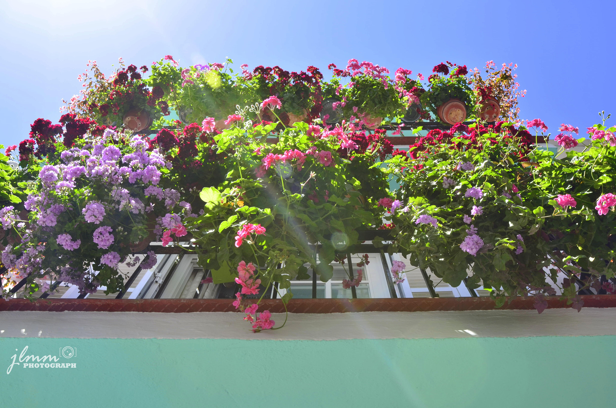Tamron SP 24-70mm F2.8 Di VC USD sample photo. Balconies of flowers photography