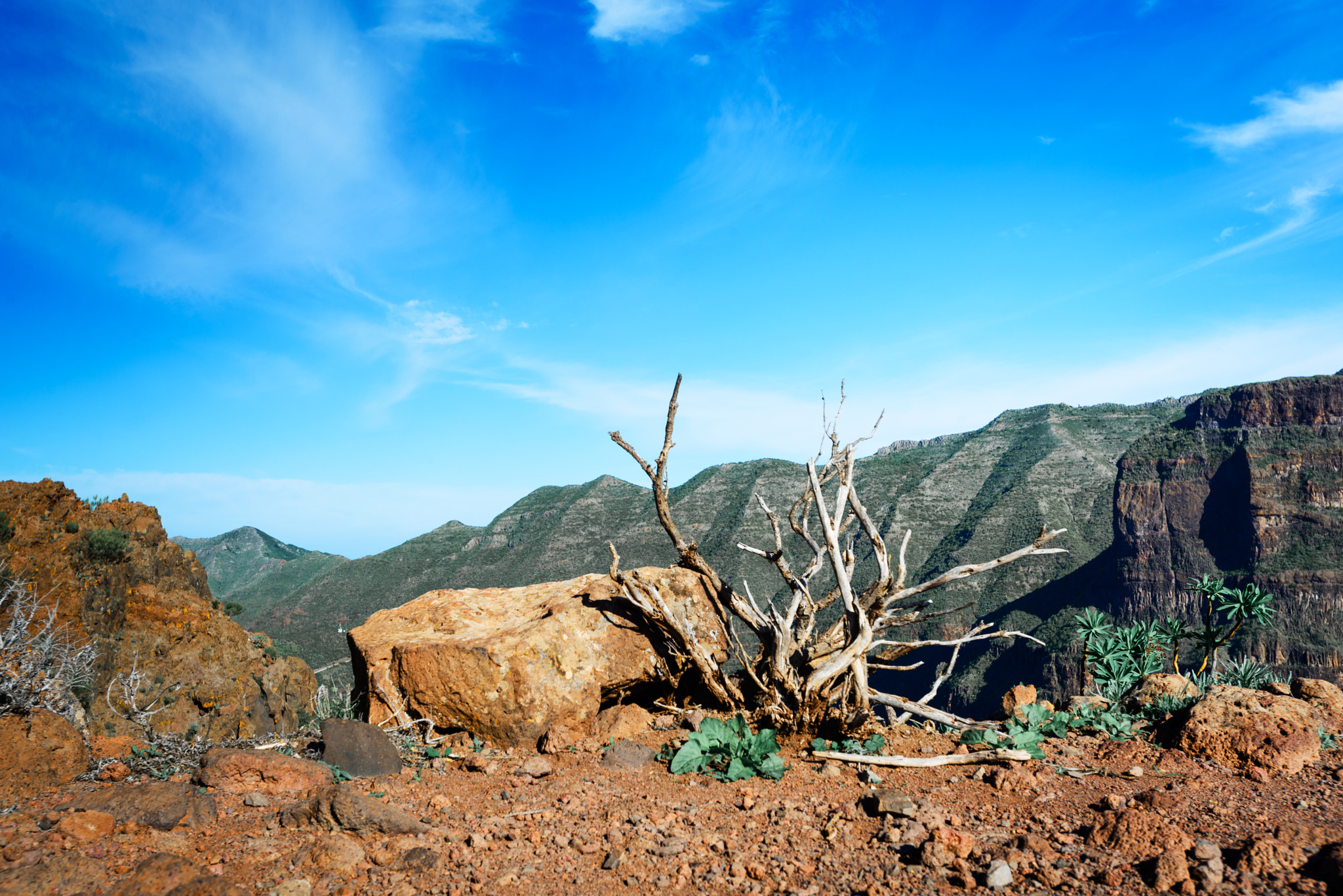 Nikon AF-S Nikkor 17-35mm F2.8D ED-IF sample photo. Tenerife photography