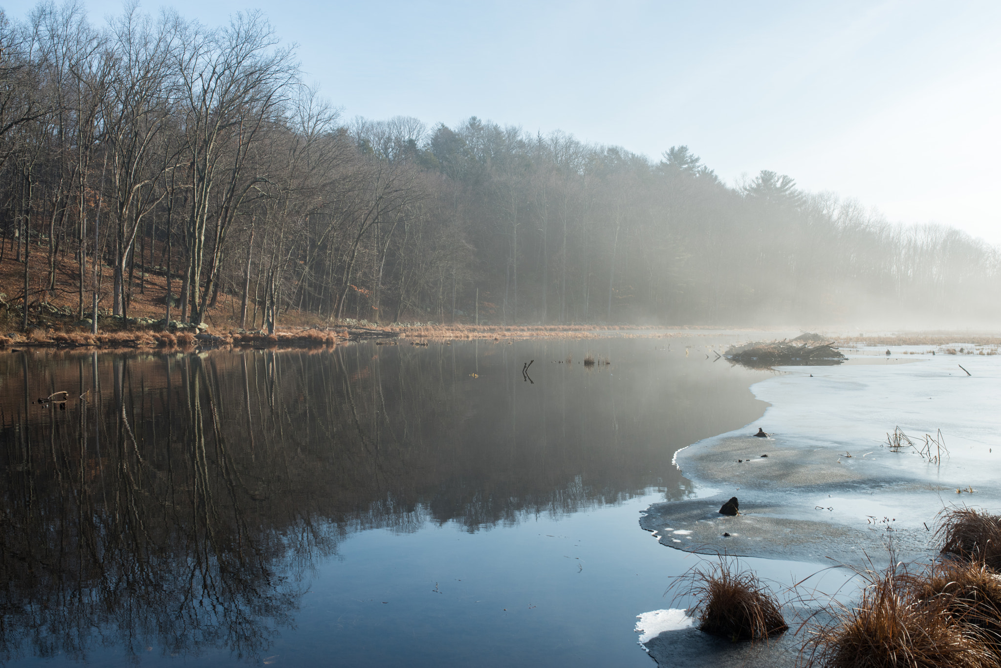 Pentax K-1 + Sigma 35mm F1.4 DG HSM Art sample photo. Sunrise on foggy pond photography