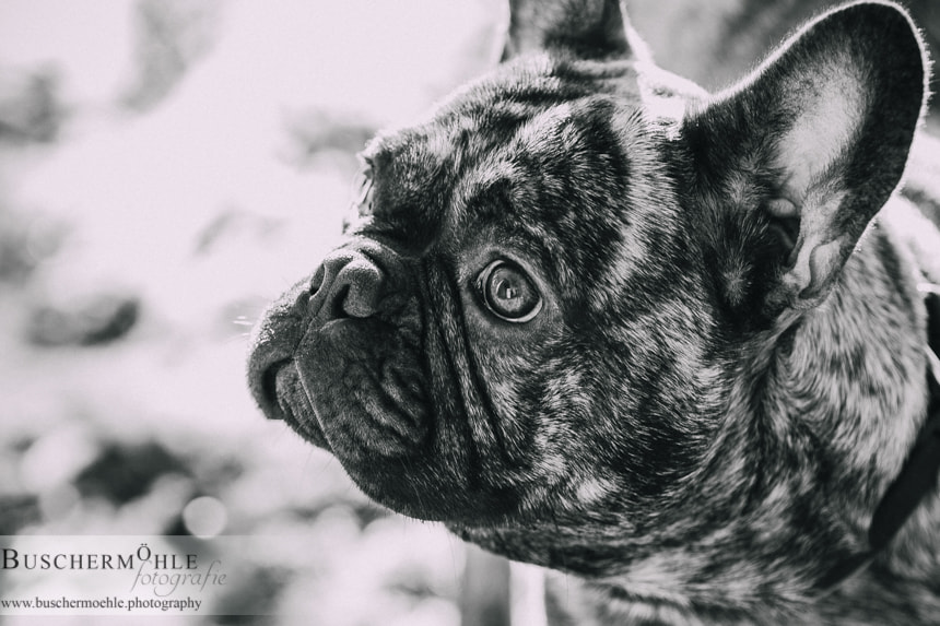 Canon EF 70-200mm F2.8L IS II USM sample photo. He photography