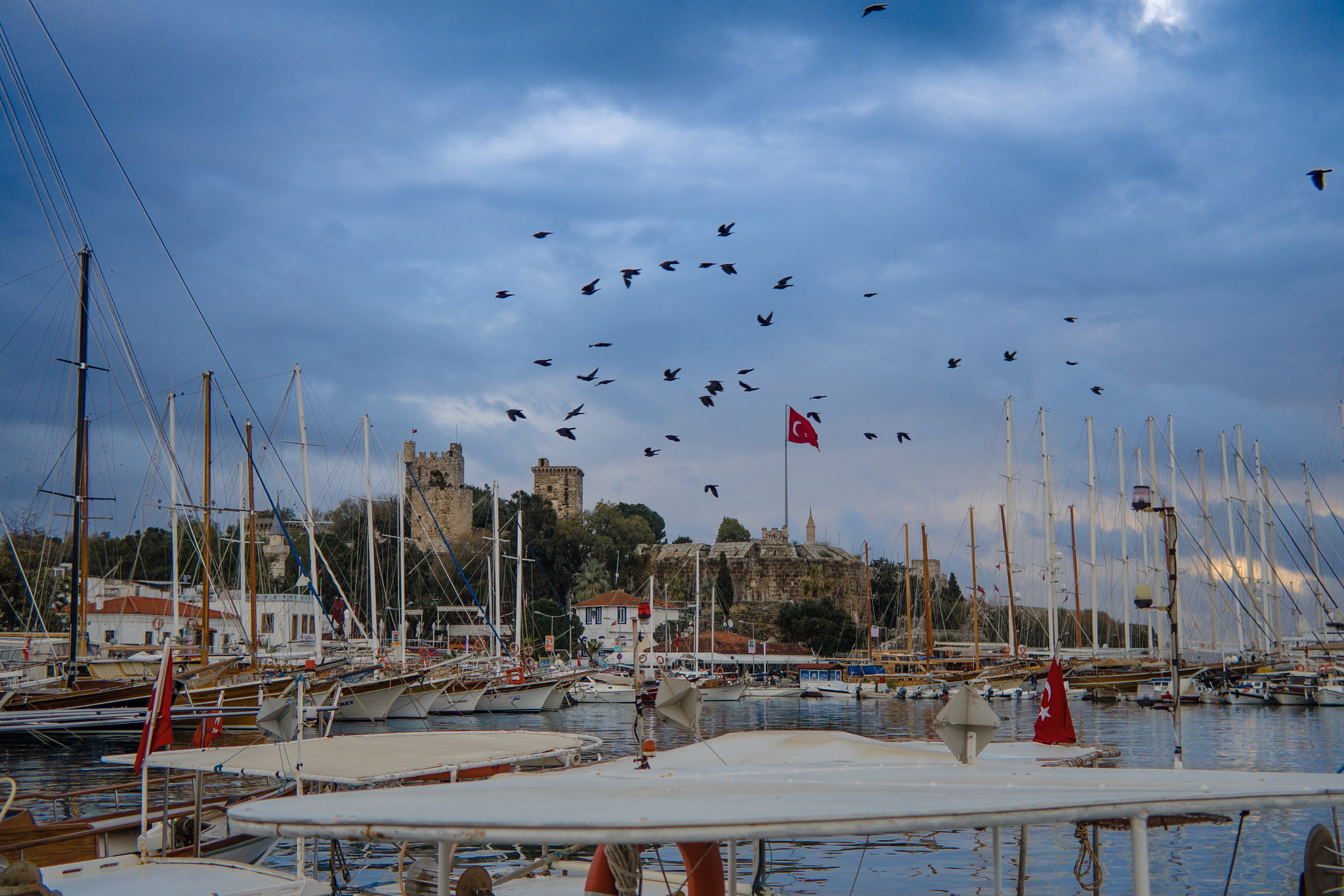 Samsung NX mini sample photo. Birds on marina photography