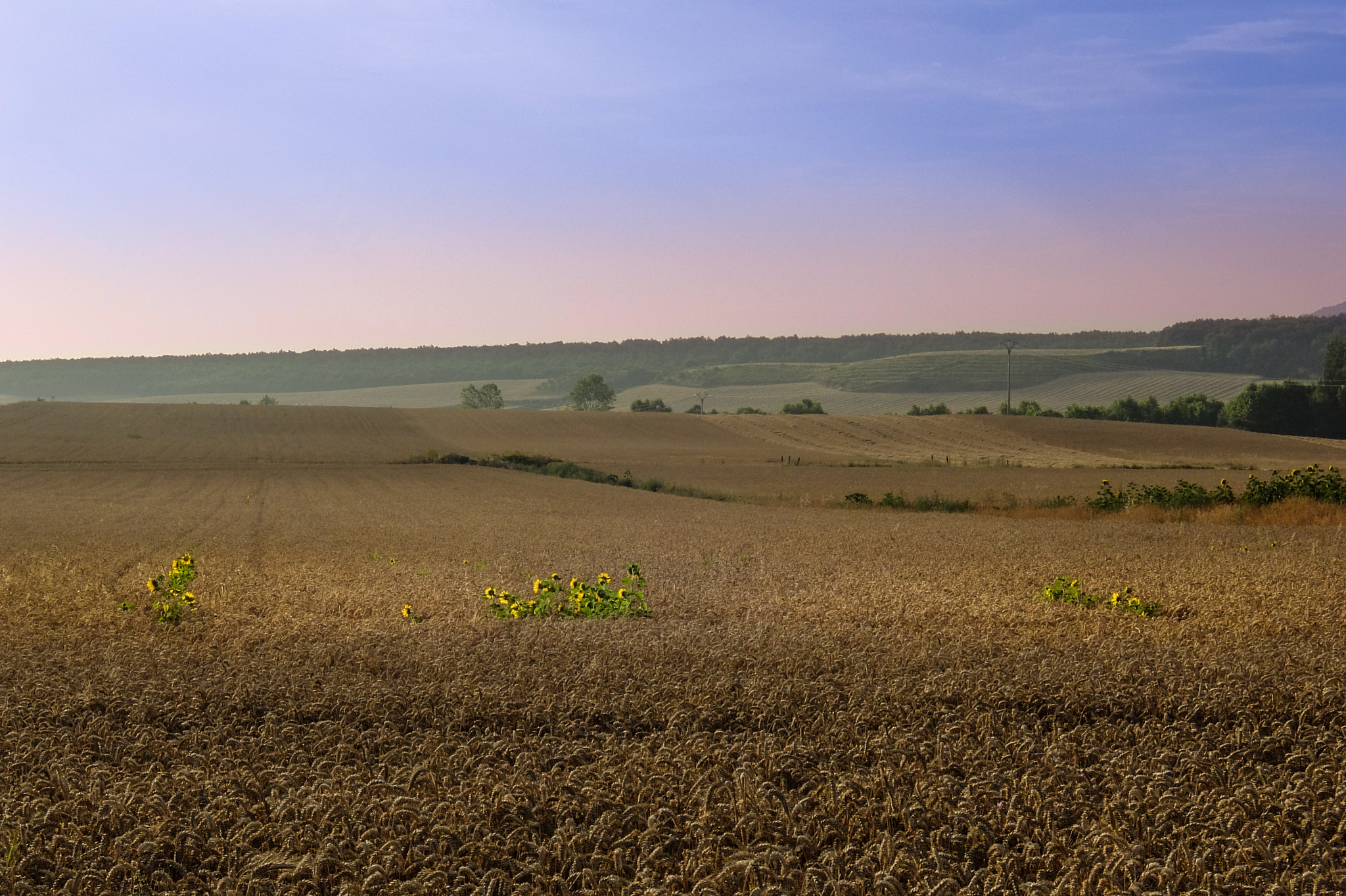 Fujifilm XQ2 sample photo. Camino de santiago photography