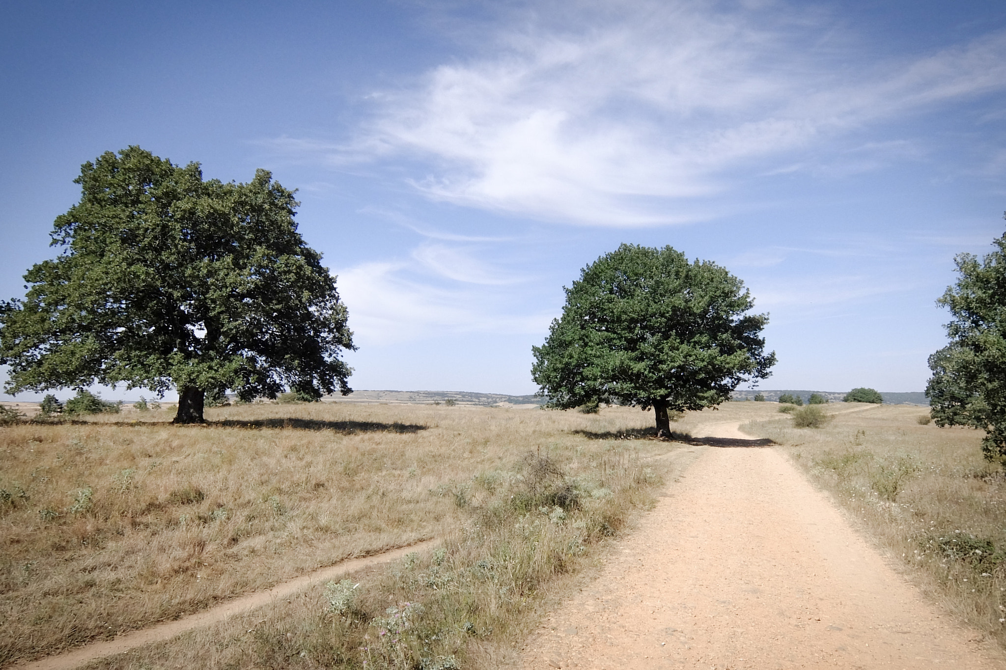 Fujifilm XQ2 sample photo. Camino de santiago photography