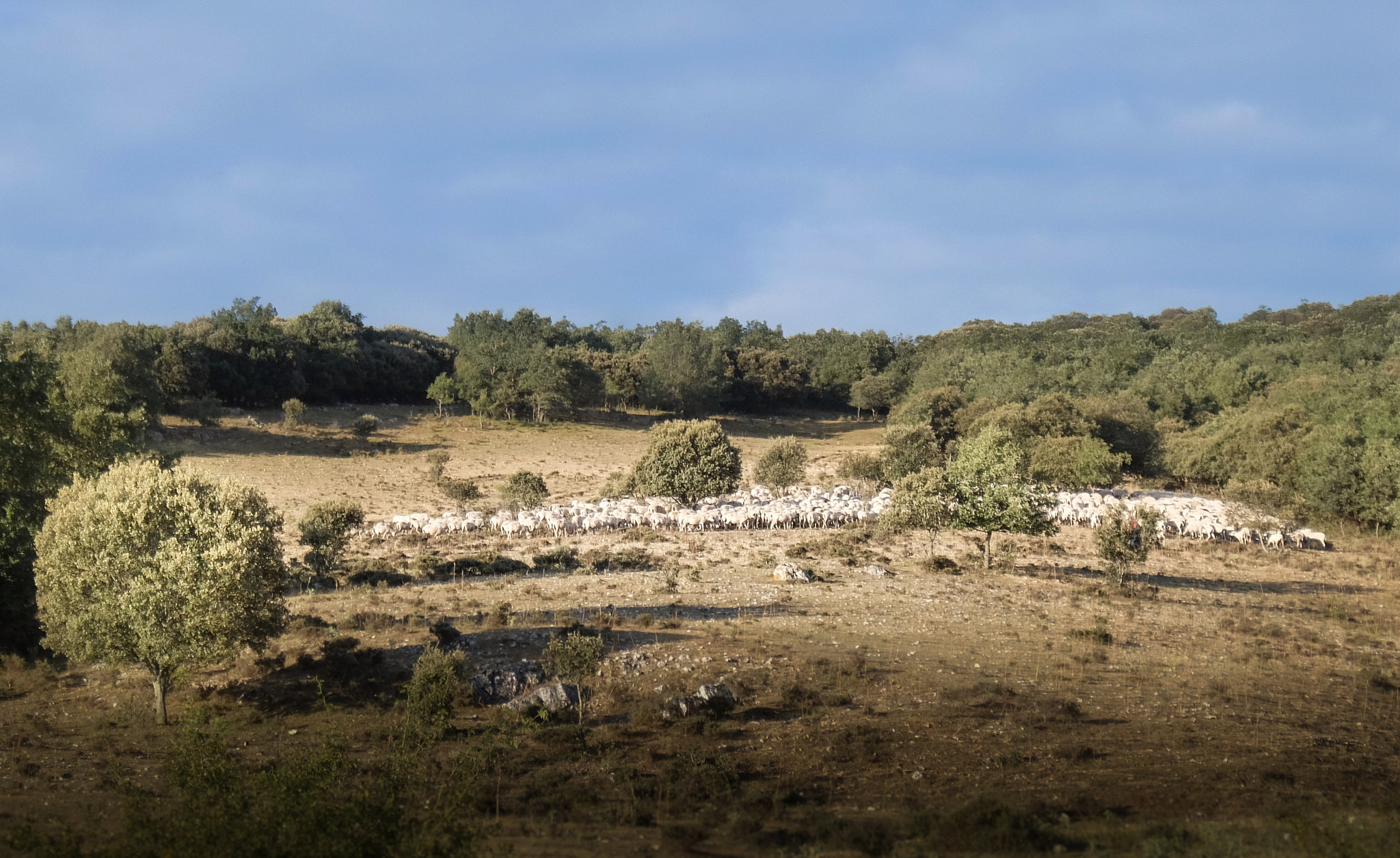 Fujifilm XQ2 sample photo. Camino de santiago photography