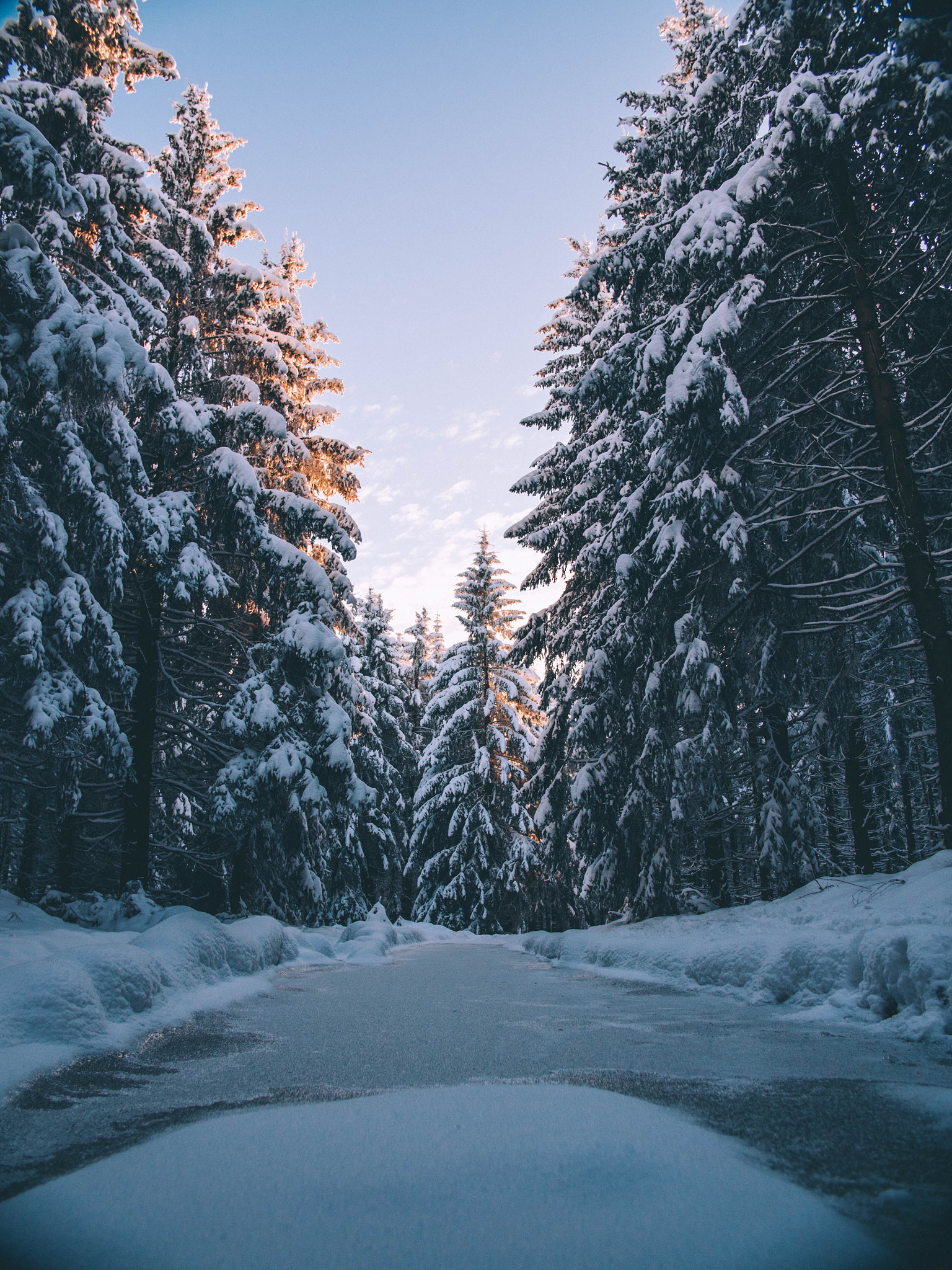 .64x Metabones 18-35/1.8 sample photo. Frozen forest of oberhof/germany ❄️❄️ photography