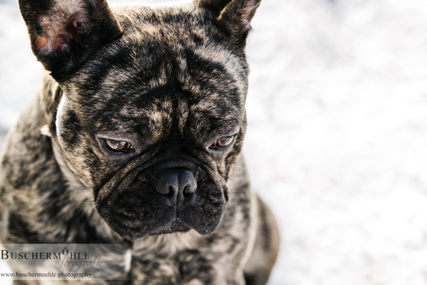 Canon EF 70-200mm F2.8L IS II USM sample photo. Sad photography