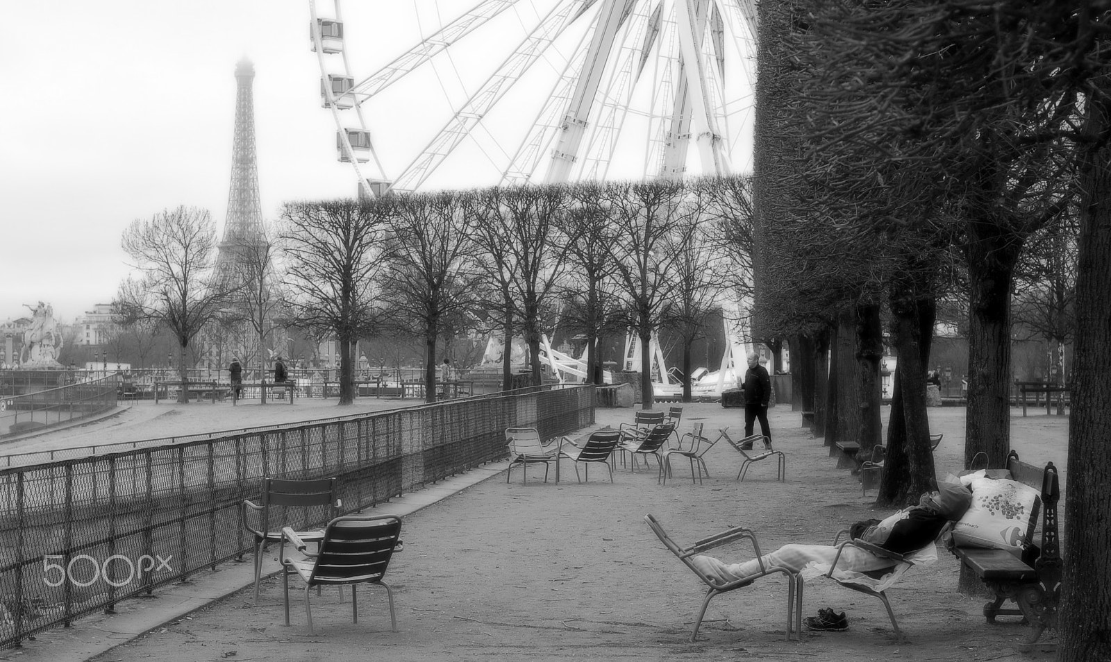 Nikon D50 sample photo. Grande roue et tour eiffel photography