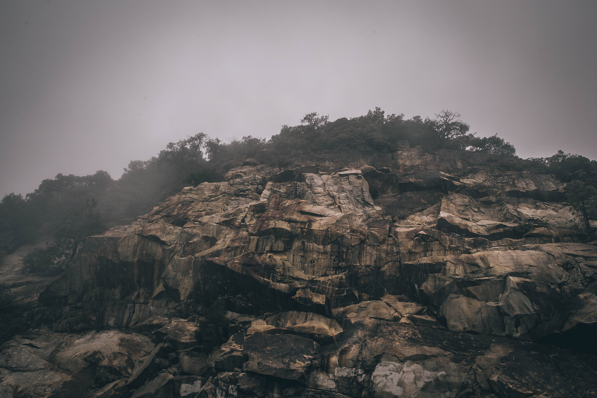 Canon EF 24mm F1.4L II USM sample photo. Rapture photography