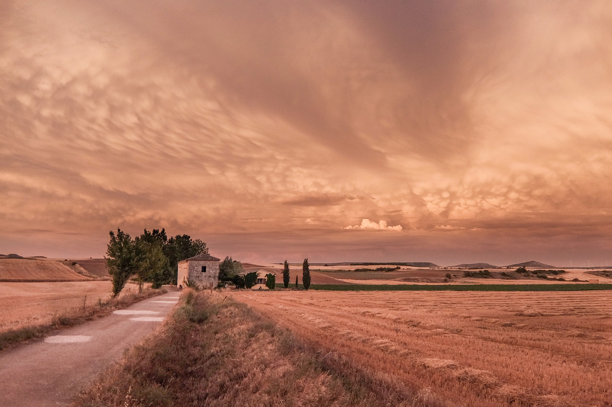 Fujifilm XQ2 sample photo. Camino de santiago photography