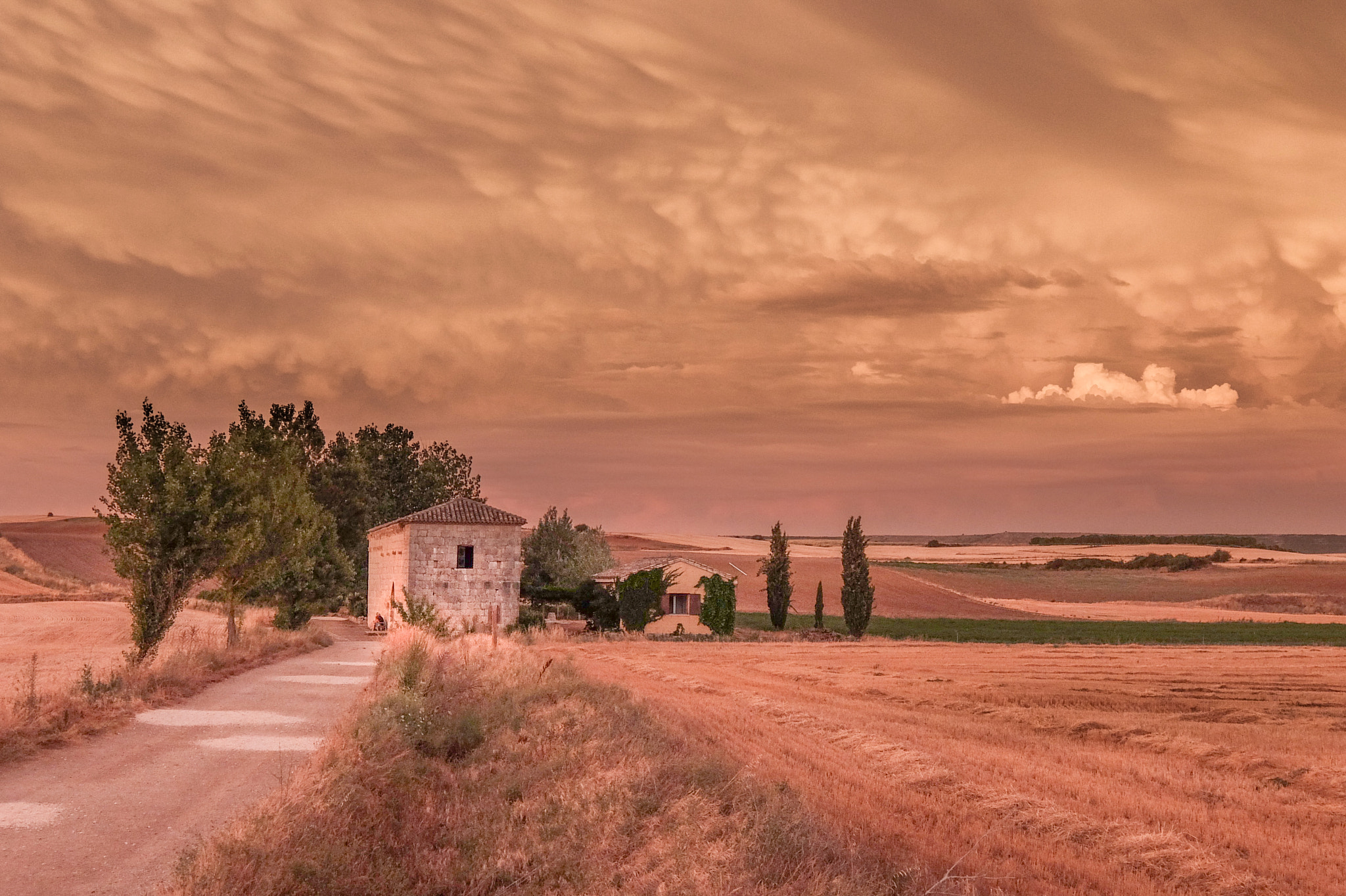 Fujifilm XQ2 sample photo. Camino de santiago photography