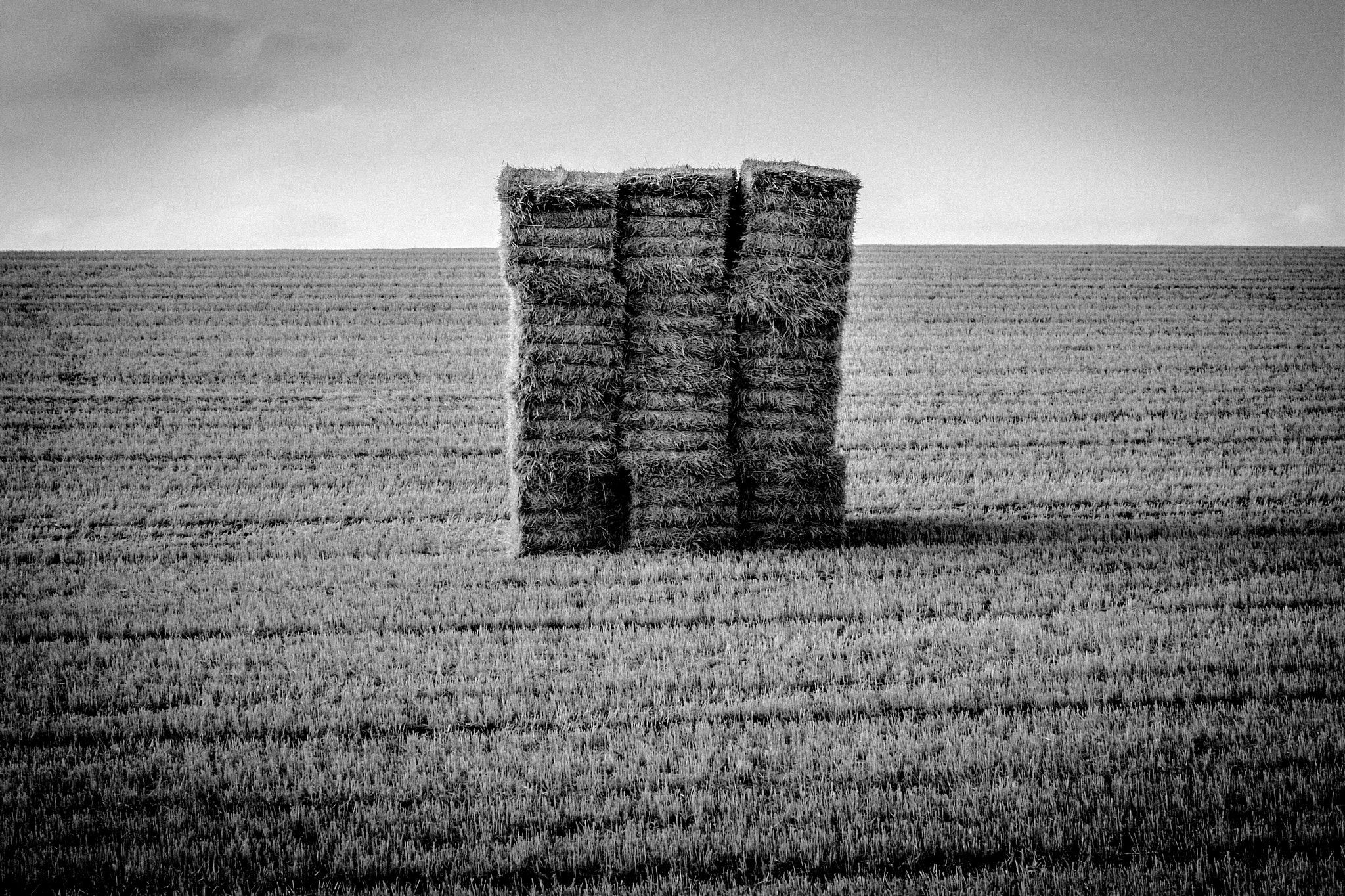 Fujifilm XQ2 sample photo. Camino de santiago photography