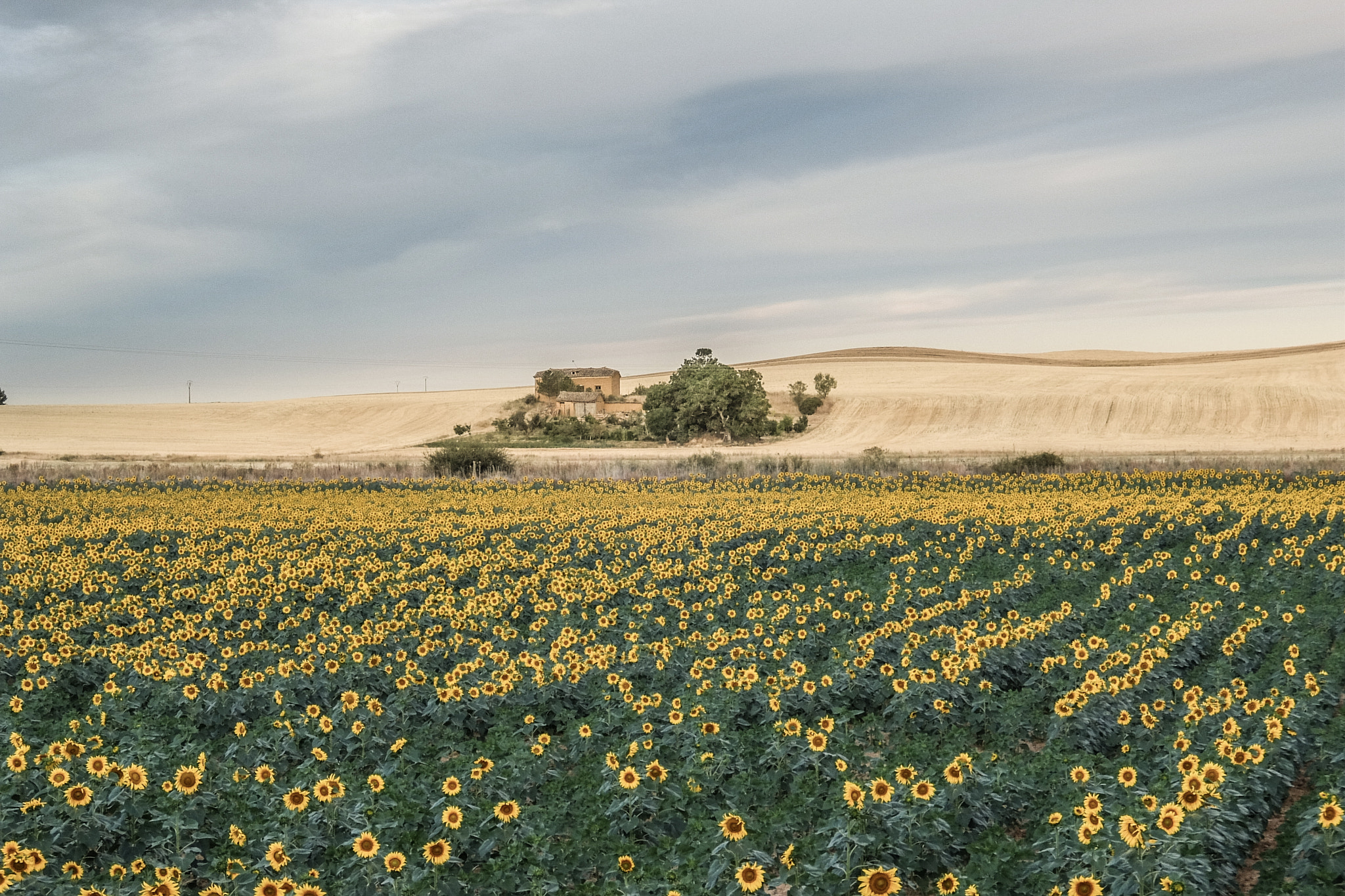 Fujifilm XQ2 sample photo. Camino de santiago photography