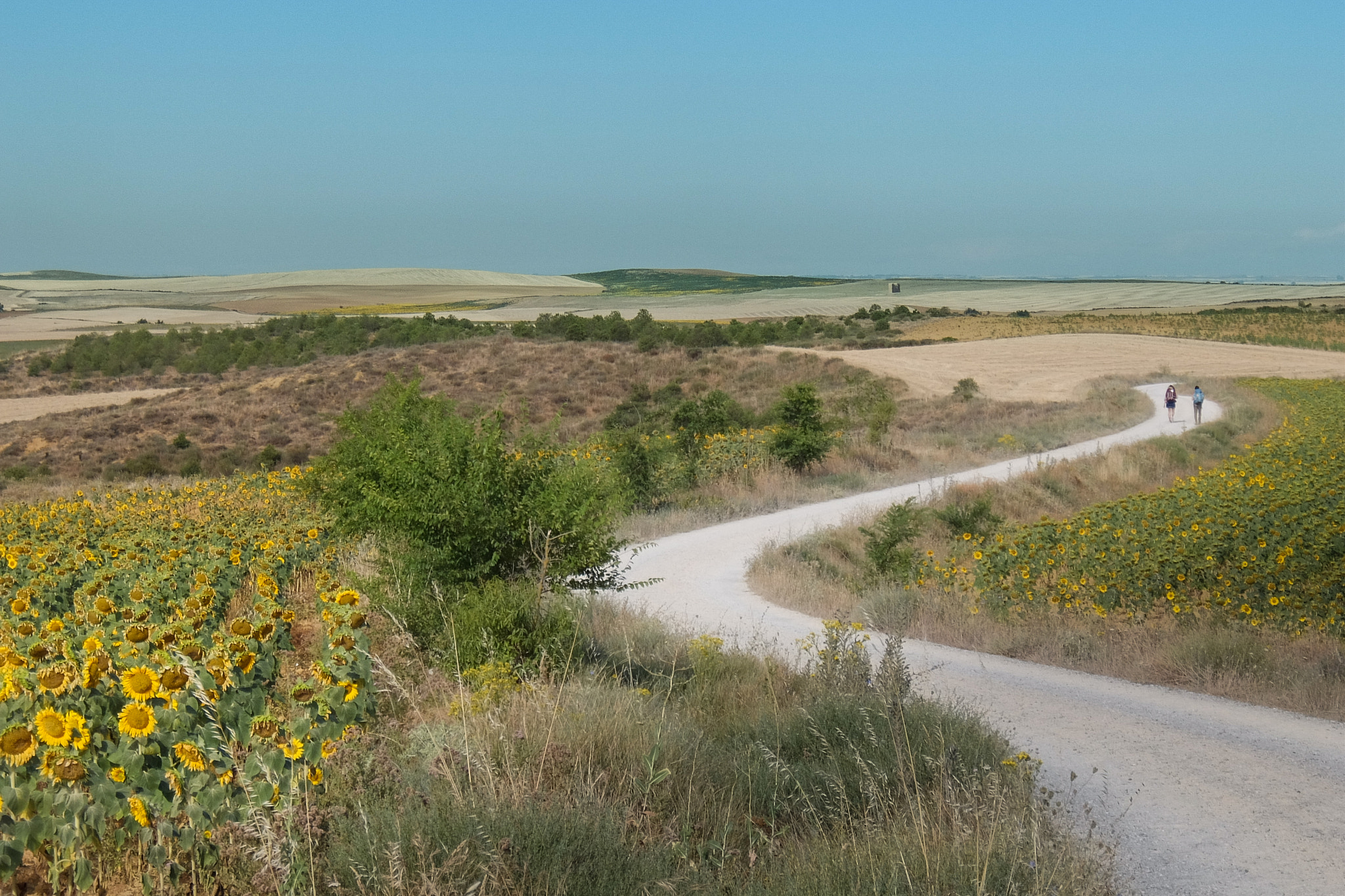 Fujifilm XQ2 sample photo. Camino de santiago photography