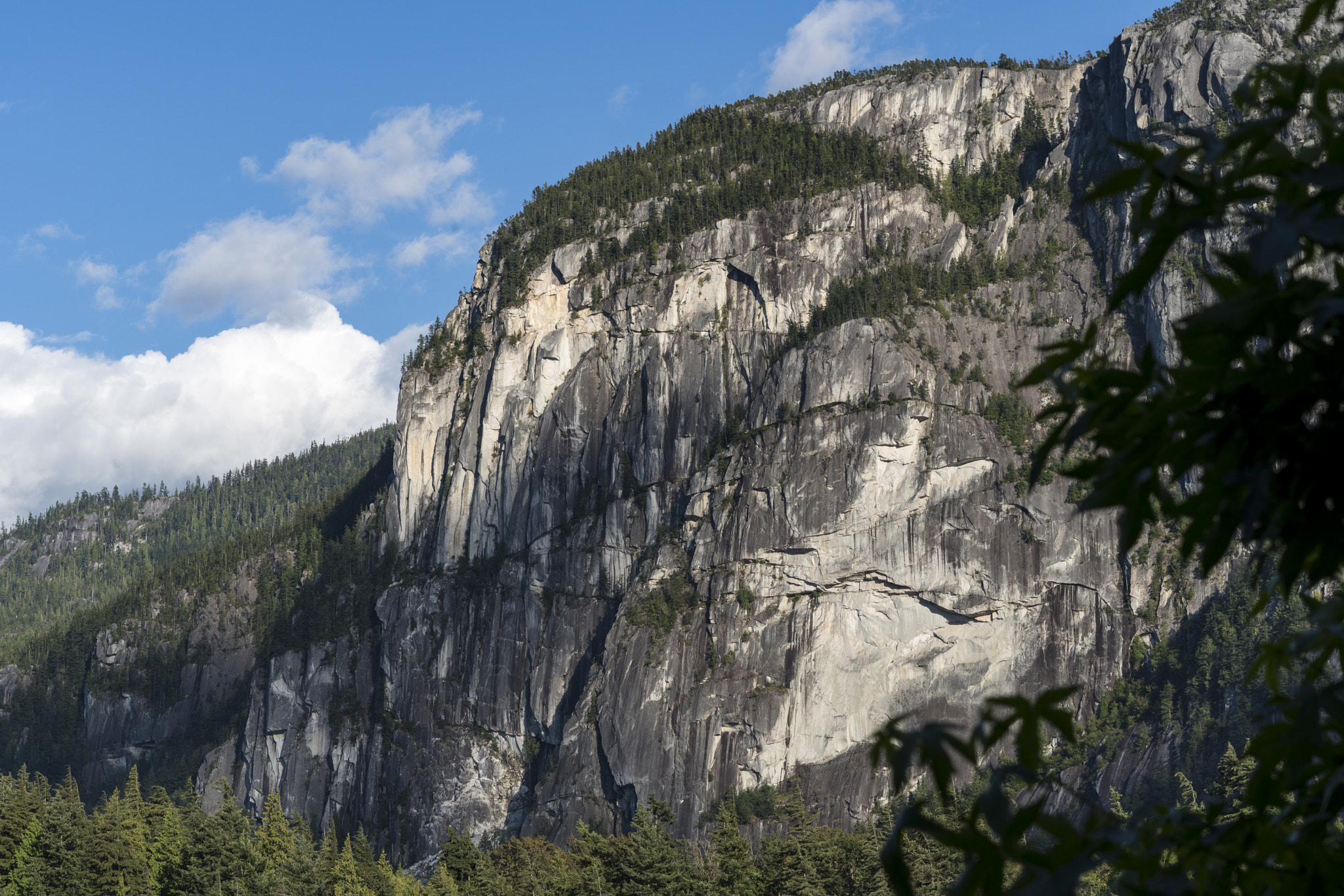 Sony a6300 + Sony Sonnar T* FE 55mm F1.8 ZA sample photo. Squamish photography