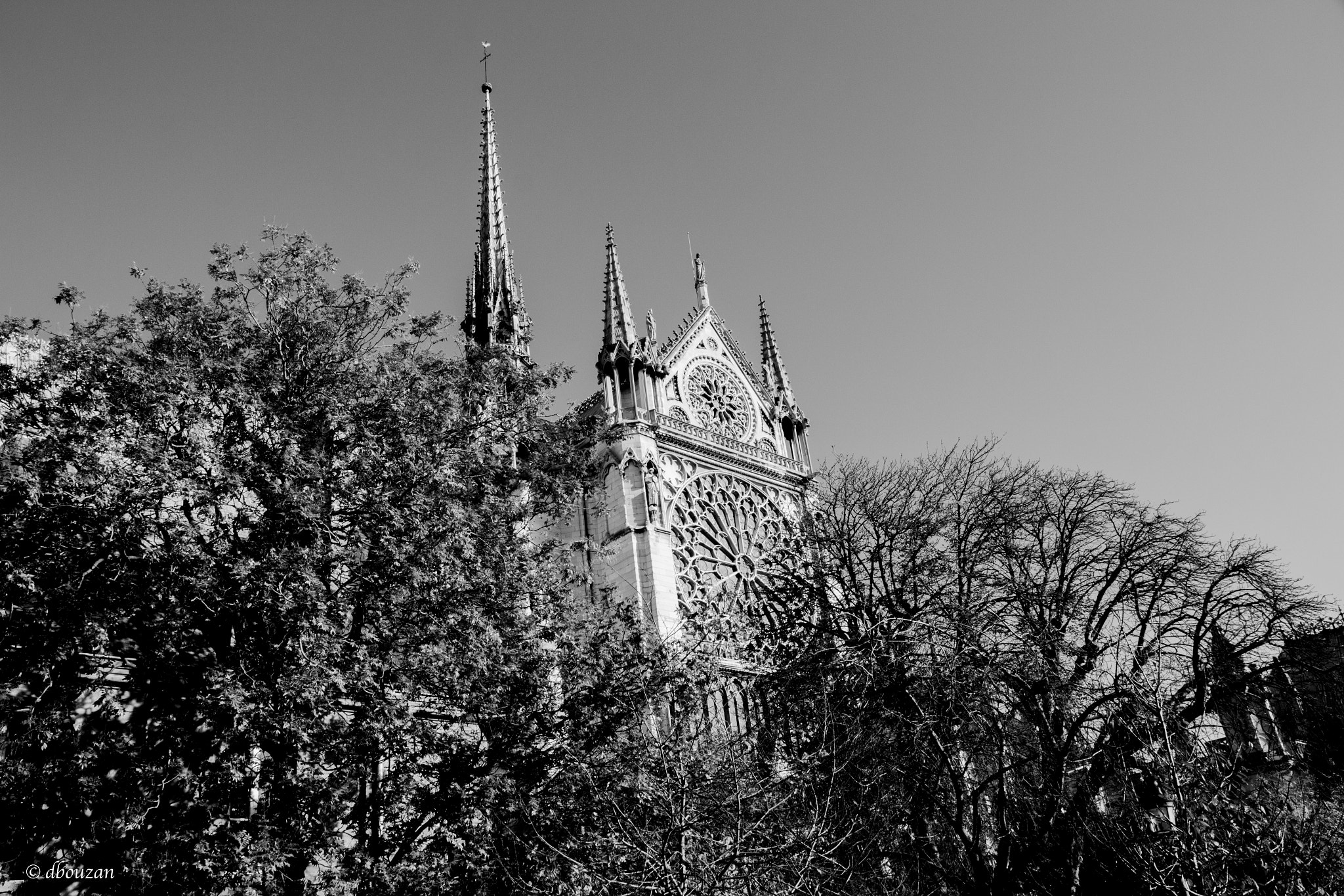 Canon EOS 650D (EOS Rebel T4i / EOS Kiss X6i) sample photo. Notre dame cathedral photography
