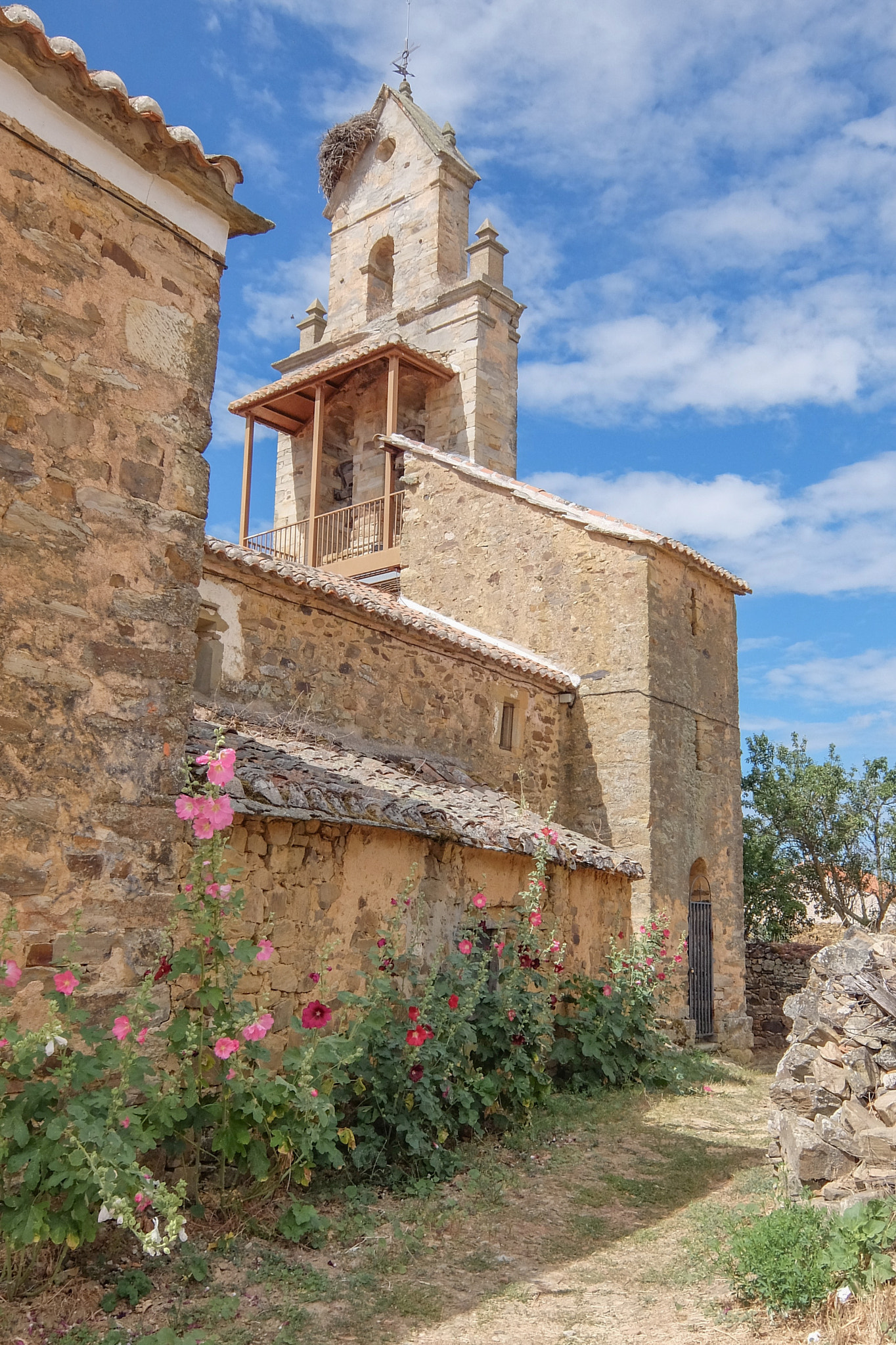 Fujifilm XQ2 sample photo. Camino de santiago photography