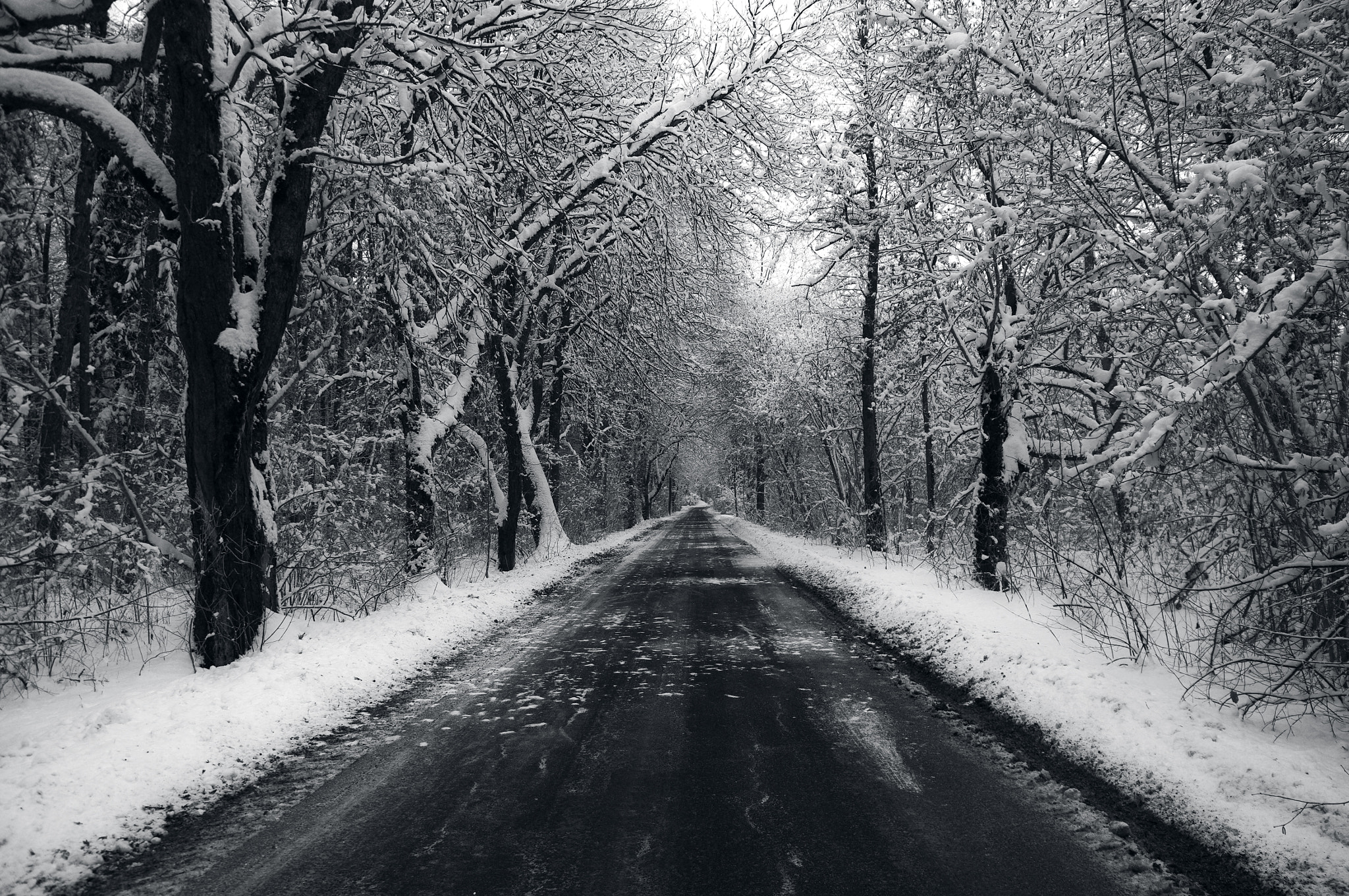 Pentax K20D + Sigma AF 10-20mm F4-5.6 EX DC sample photo. The road....... photography