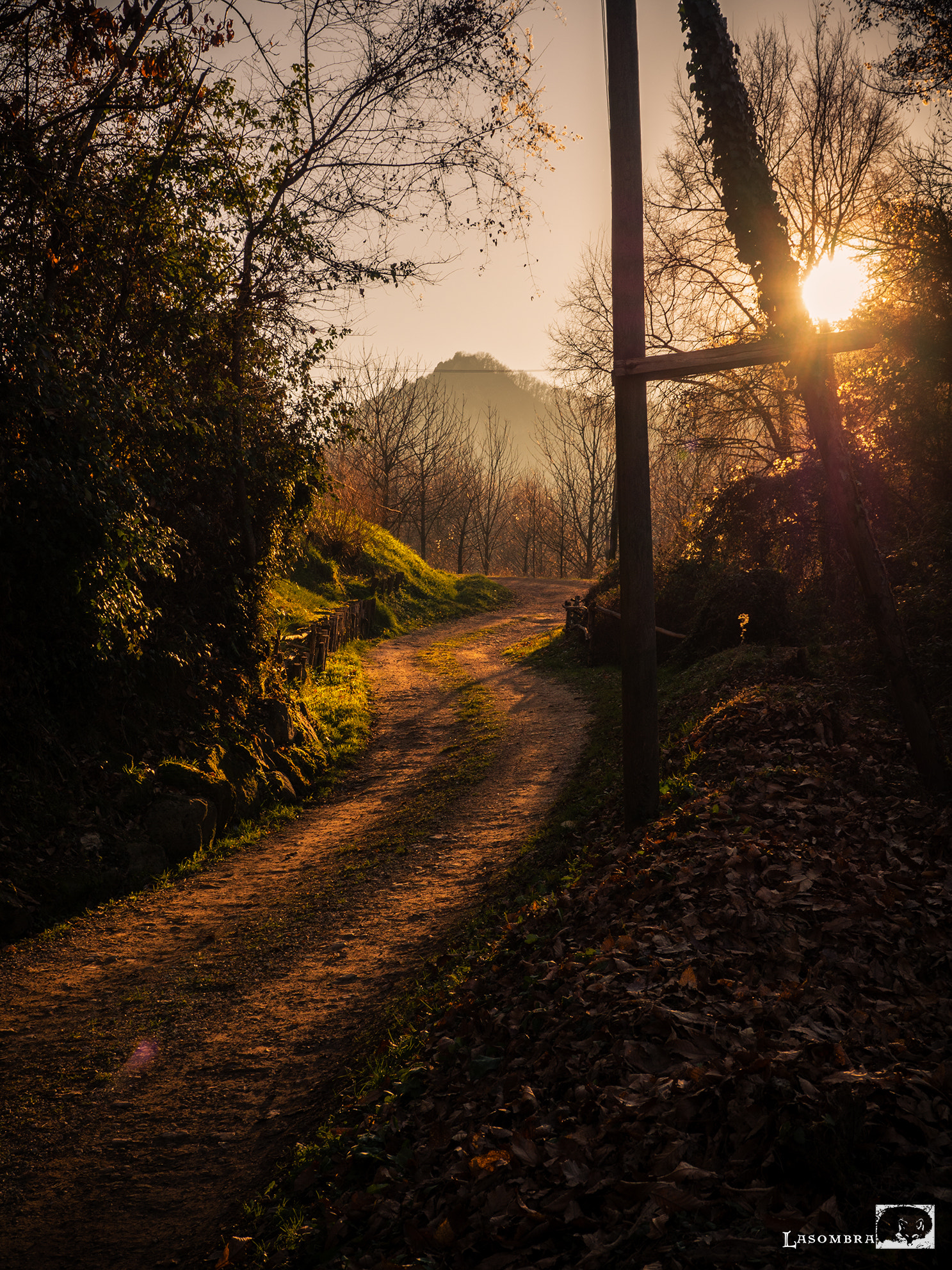 Olympus OM-D E-M10 sample photo. Way to monte pirio photography