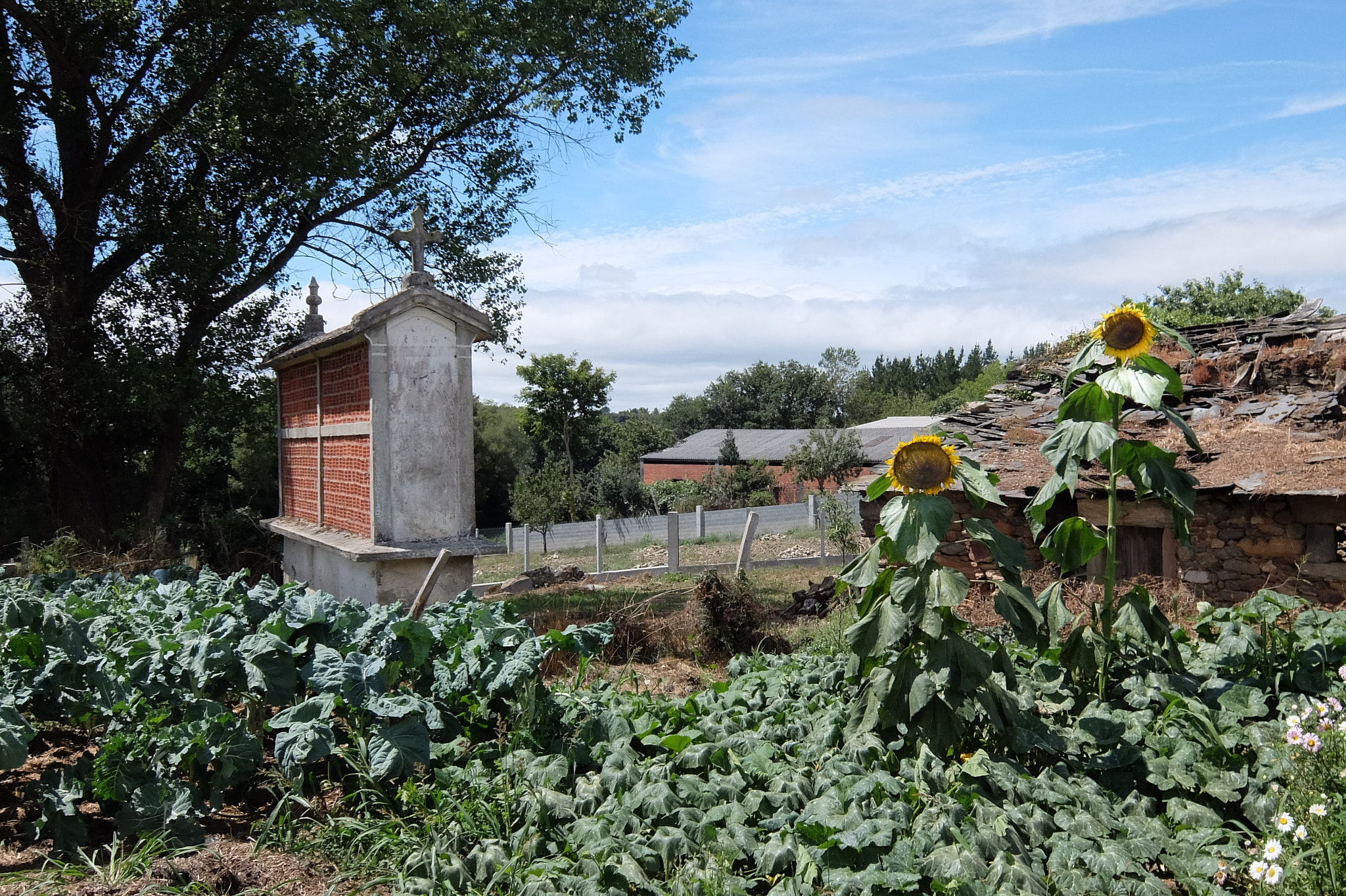 Fujifilm XQ2 sample photo. Camino de santiago photography