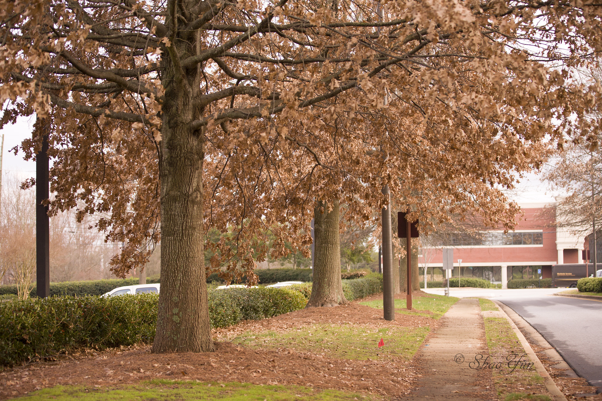 Canon EOS 5D sample photo. Road photography