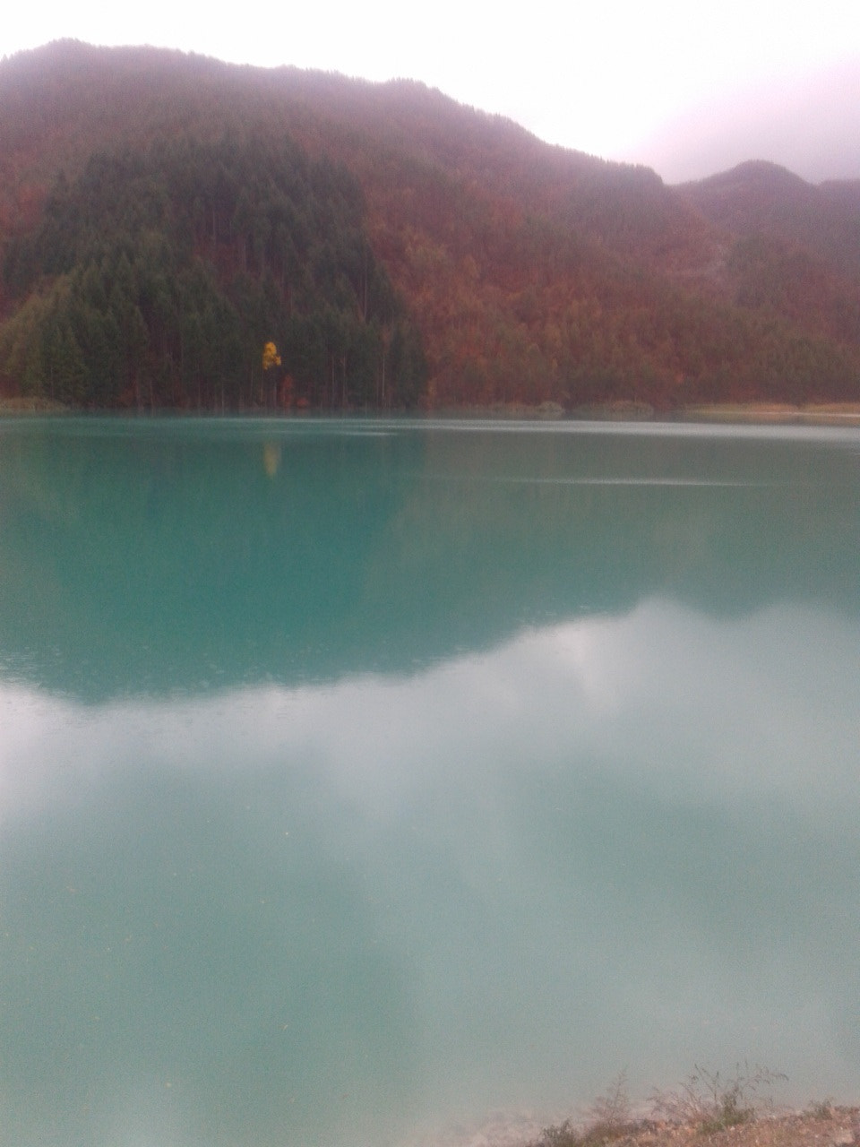Samsung Galaxy Grand Neo sample photo