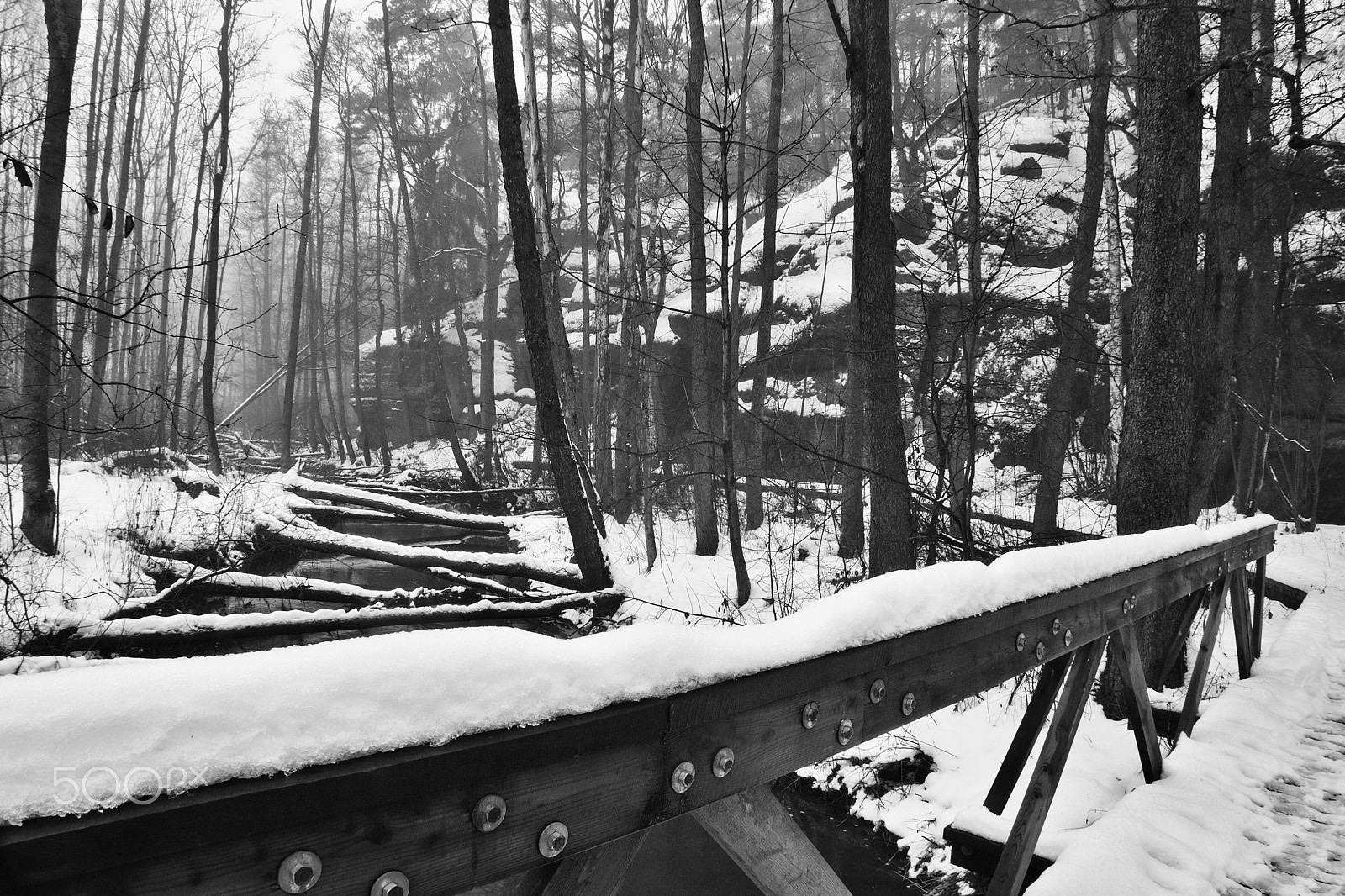 Nikon Coolpix P6000 sample photo. Snowy wooden railing at entrance to peklo valley in machuv kraj region in czech republic photography