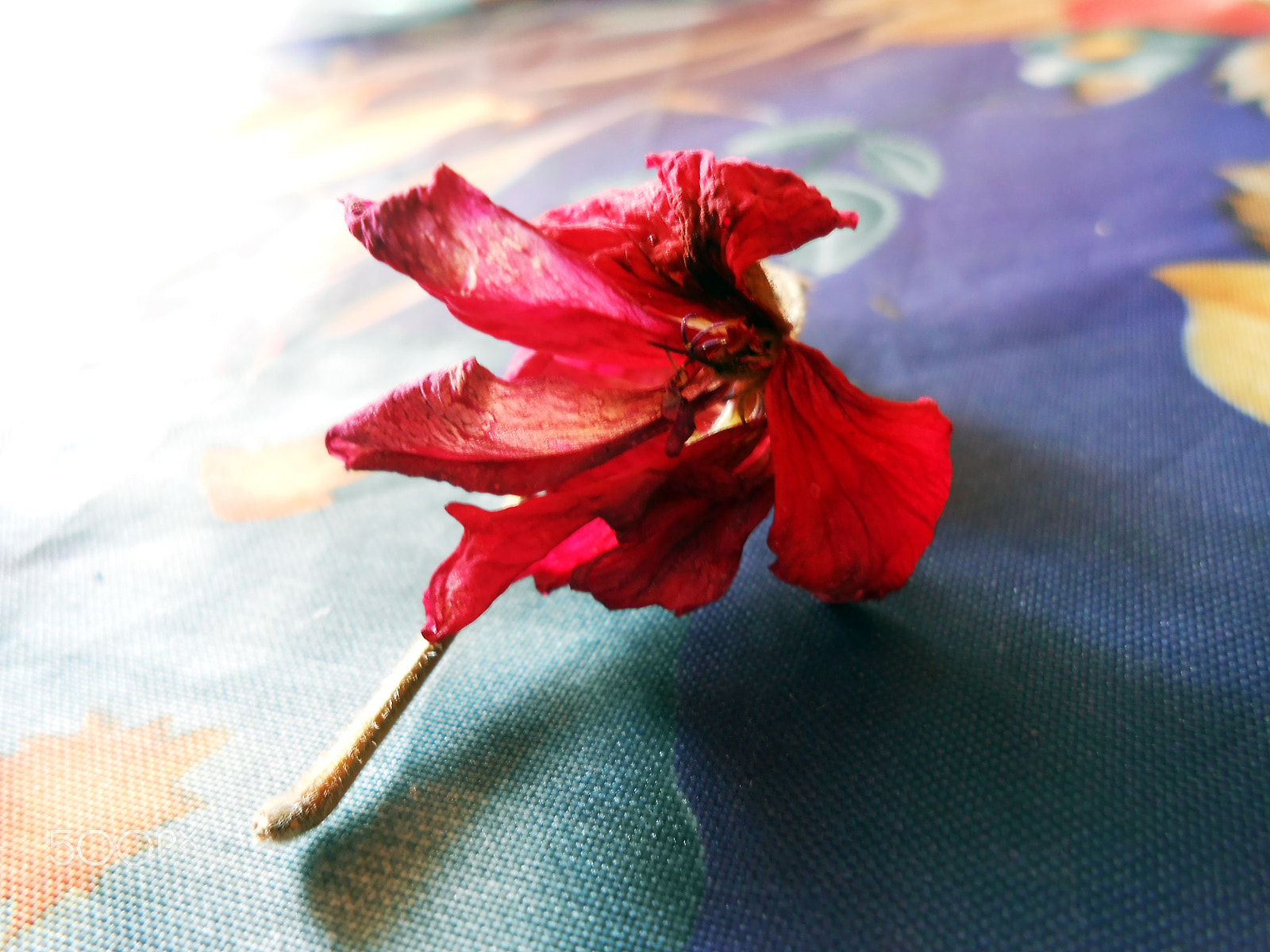 Nikon COOLPIX S2700 sample photo. Past photography