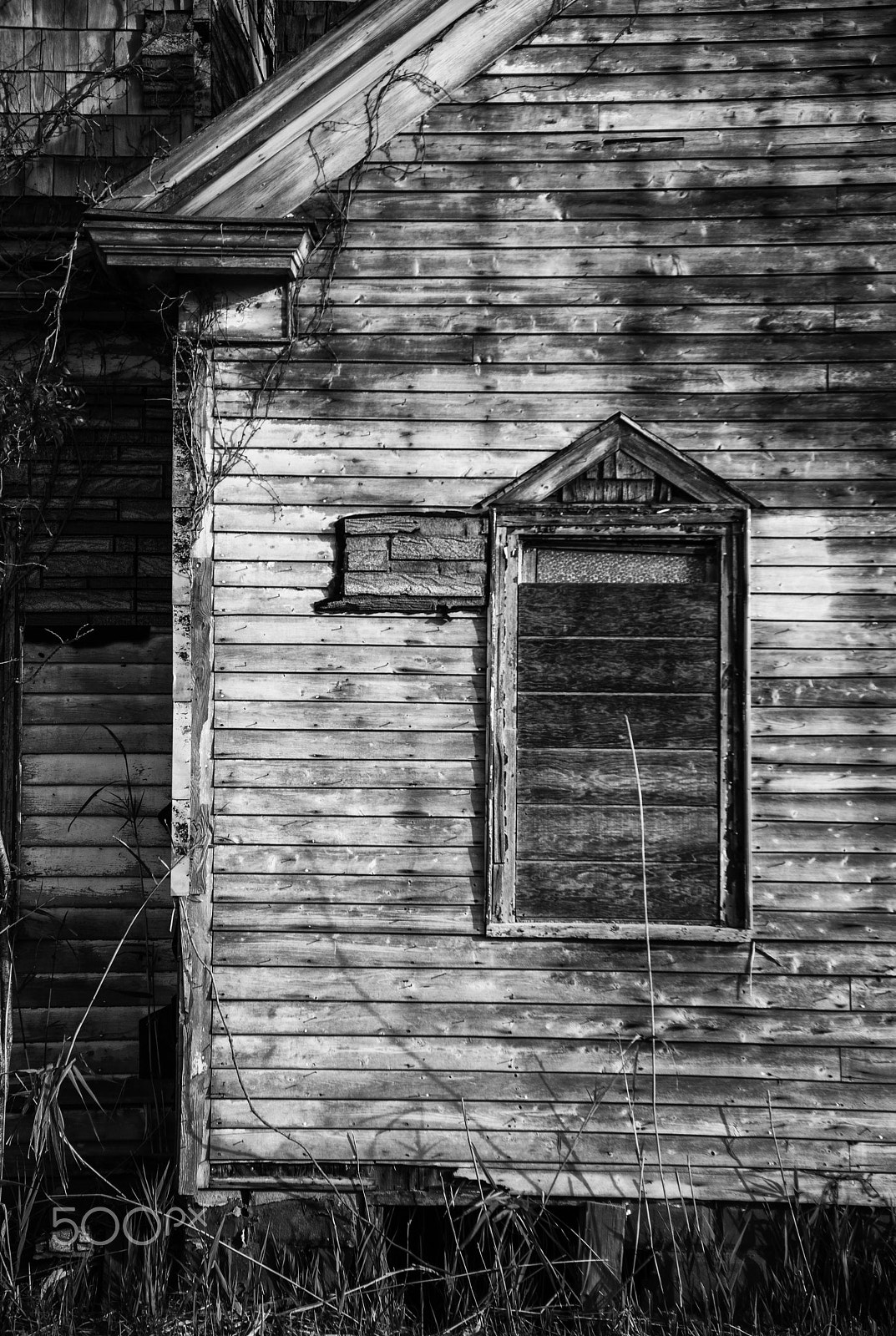 Nikon D800E sample photo. Detail, abandoned church, bivalve, nj photography