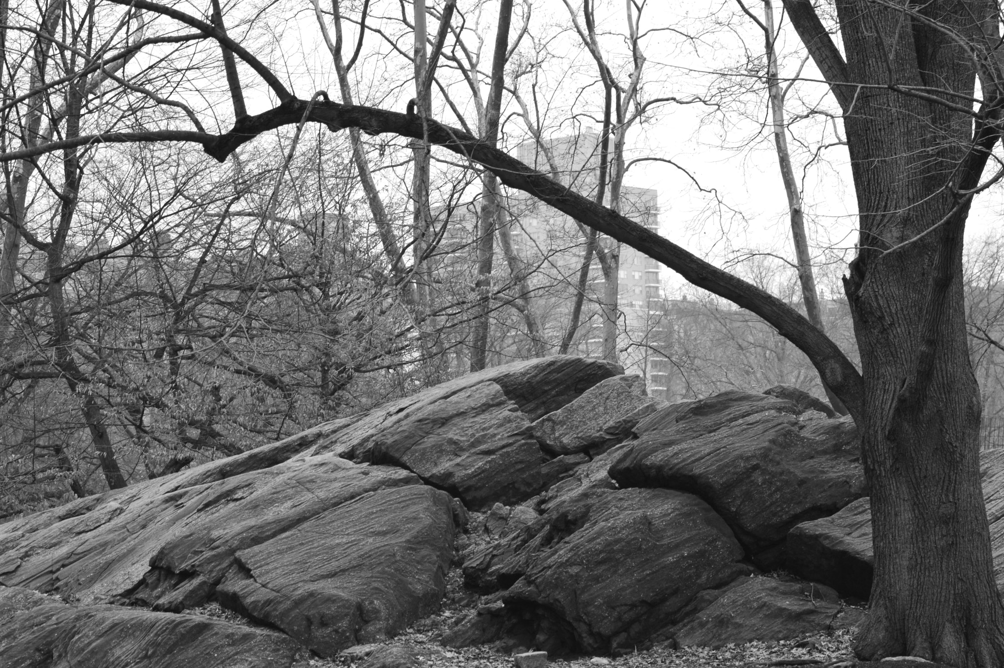 Nikon D3200 sample photo. _dsc0015.jpg photography