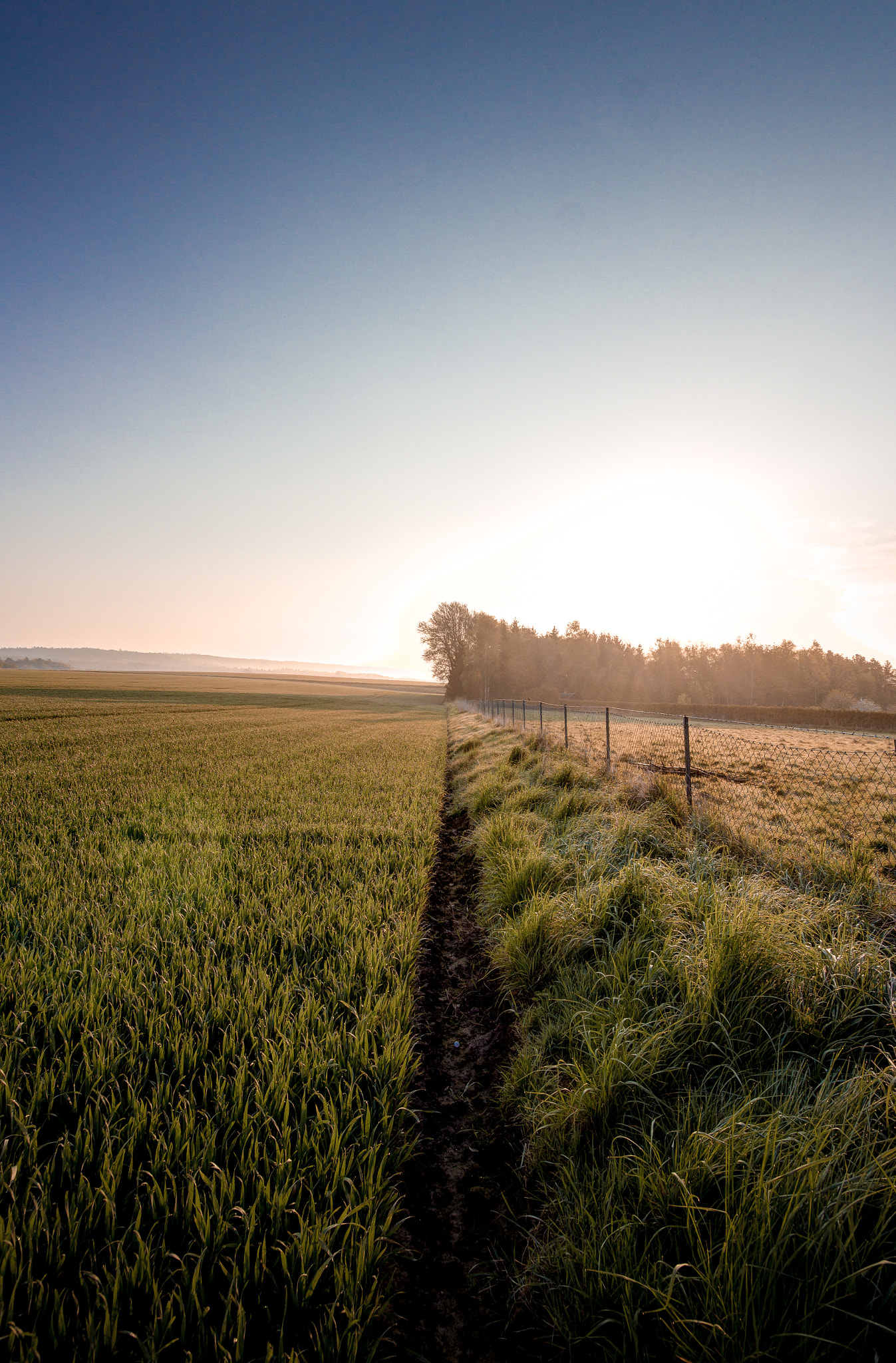 Canon EF-S 10-22mm F3.5-4.5 USM sample photo. Sitting on the fence photography