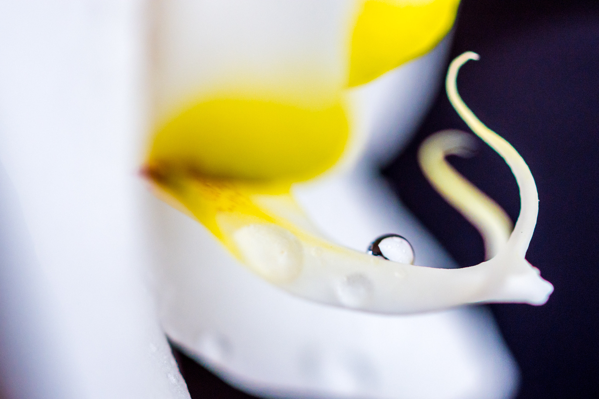 Nikon D7200 sample photo. Orchidea's tear photography