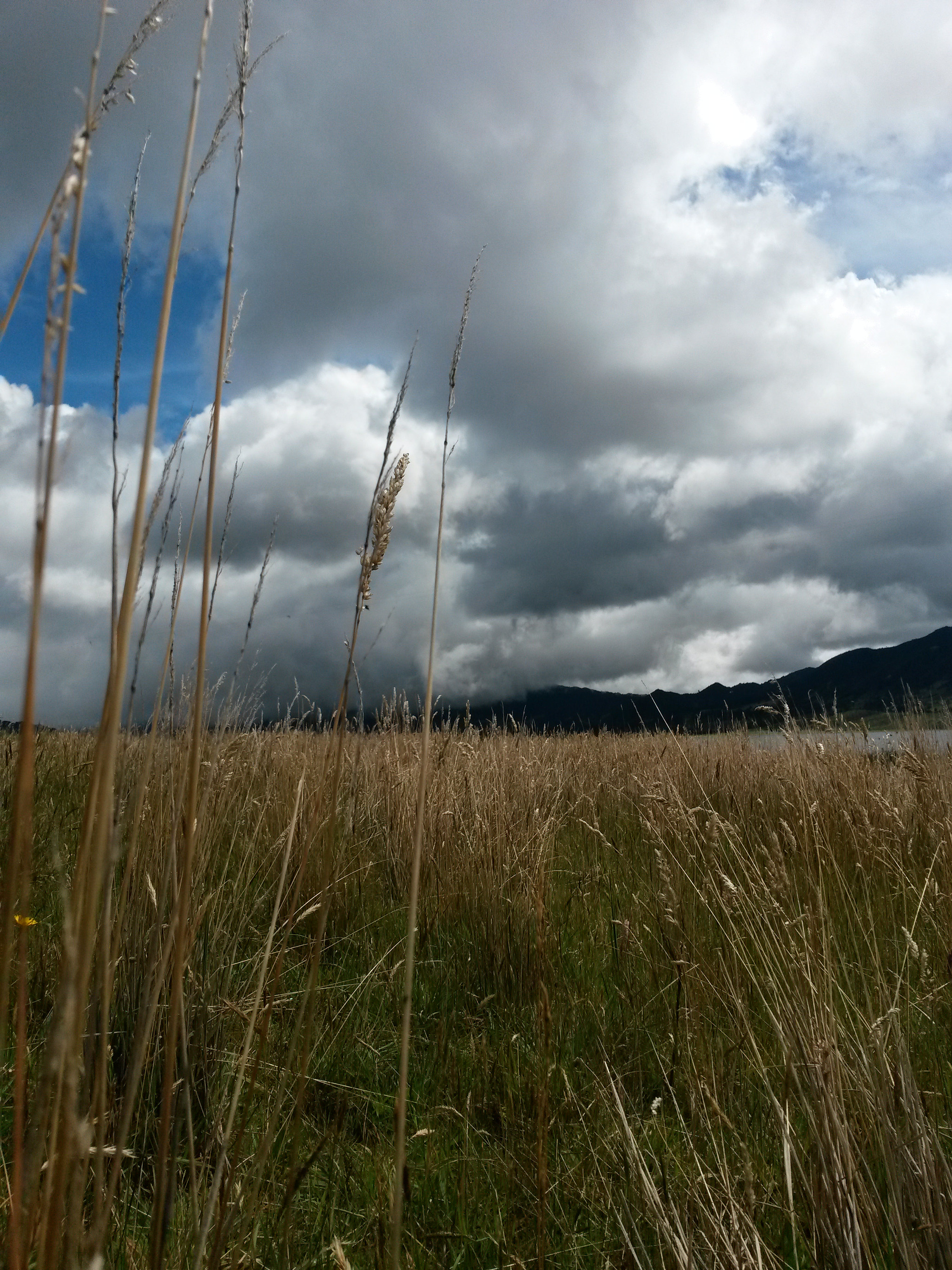 Samsung Galaxy S4 Active sample photo. Trigal photography