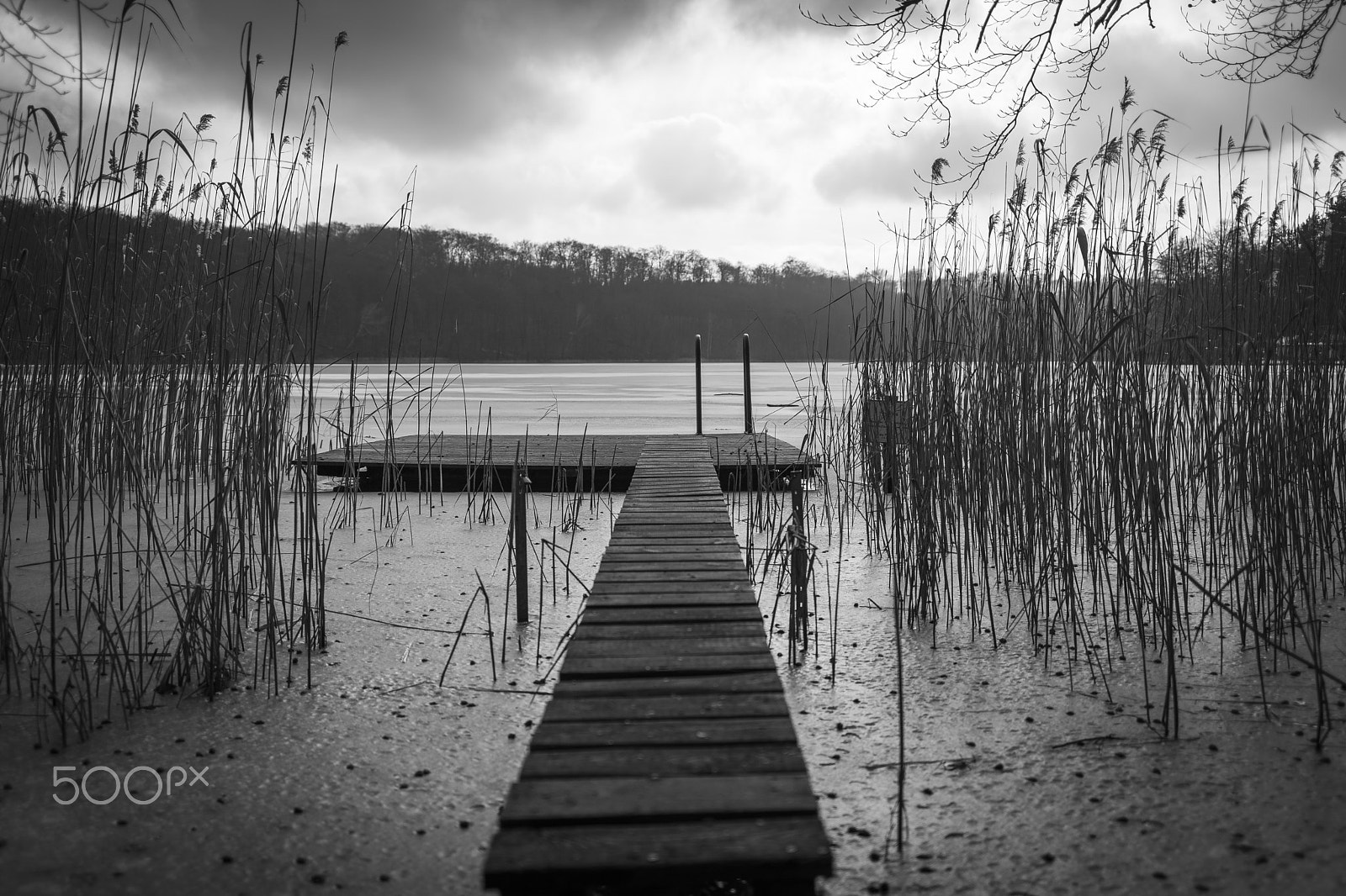 Sony a7 sample photo. Icy walk photography