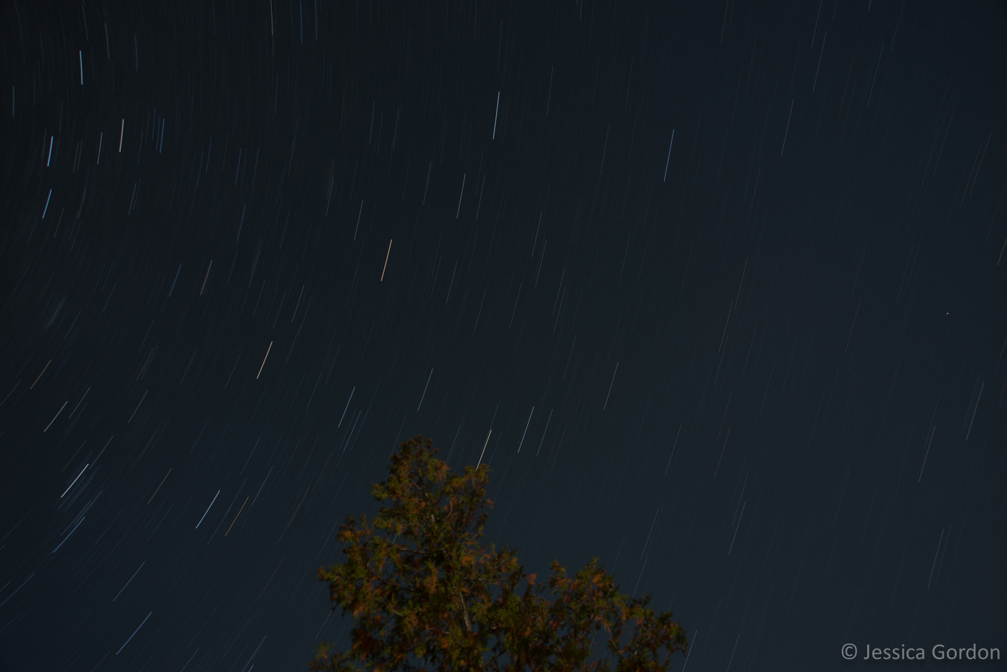 Nikon AF Nikkor 24-85mm F2.8-4D IF sample photo